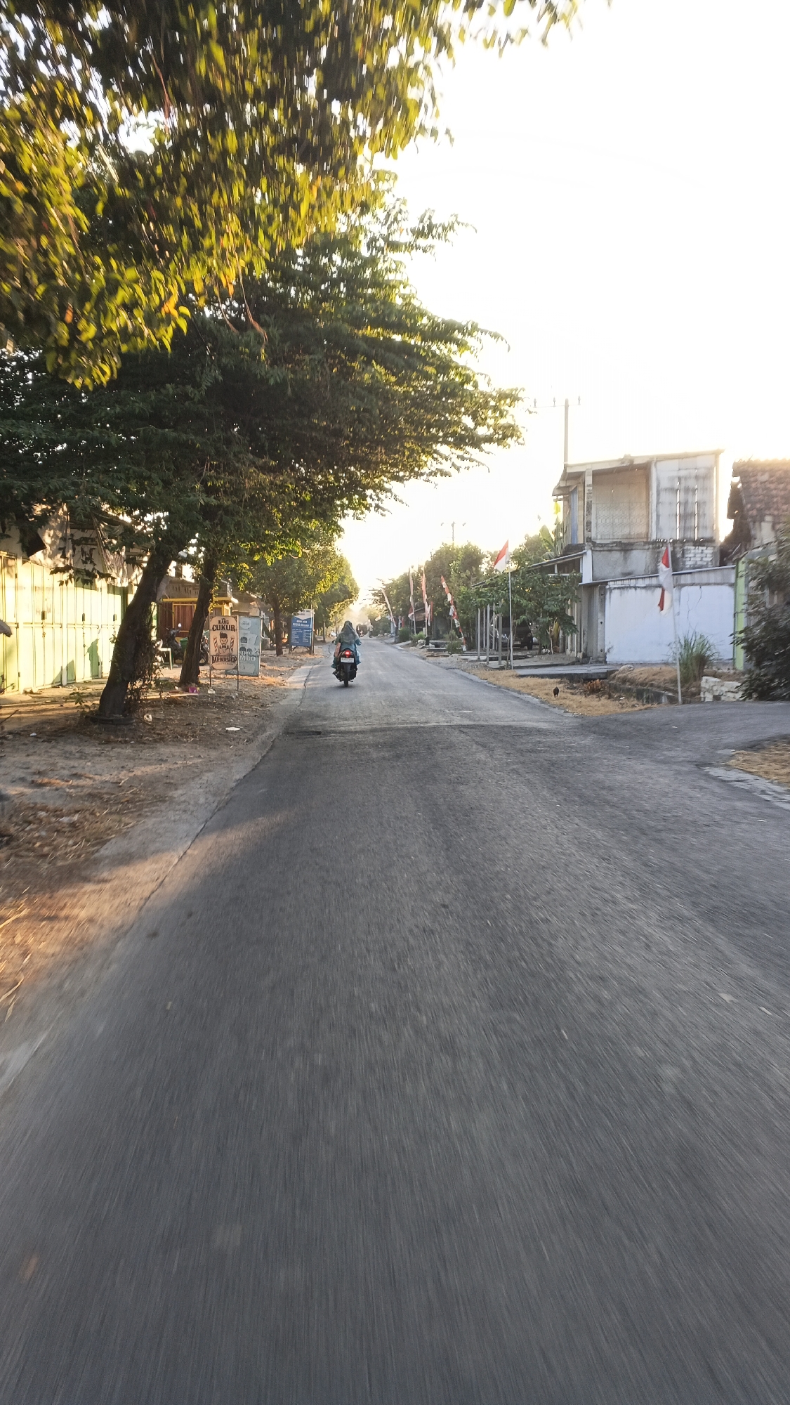 The image depicts a street scene in Soko, Indonesia, captured during what appears to be late afternoon or early morning due to the warm, angled sunlight. The perspective is from a moving vehicle, indicated by the motion blur on the road. A lone individual is riding a motorcycle down the asphalt road, which is lined with trees and buildings on either side.
On the left side of the road, there are trees with lush green foliage, casting shadows. A building with a pale yellow facade and corrugated metal siding is visible behind the trees. Several signs are present along the roadside, including one that reads "CUKUR" and another with an image of scissors, suggesting a barbershop.
The right side of the road features houses with concrete structures and some exhibiting signs of construction or repair, with exposed brickwork. Indonesian flags are prominently displayed, attached to poles along the street, indicating a possible patriotic observance or event. The sky is bright and appears hazy, suggesting a sunny day. The overall environment suggests a semi-urban or rural setting.