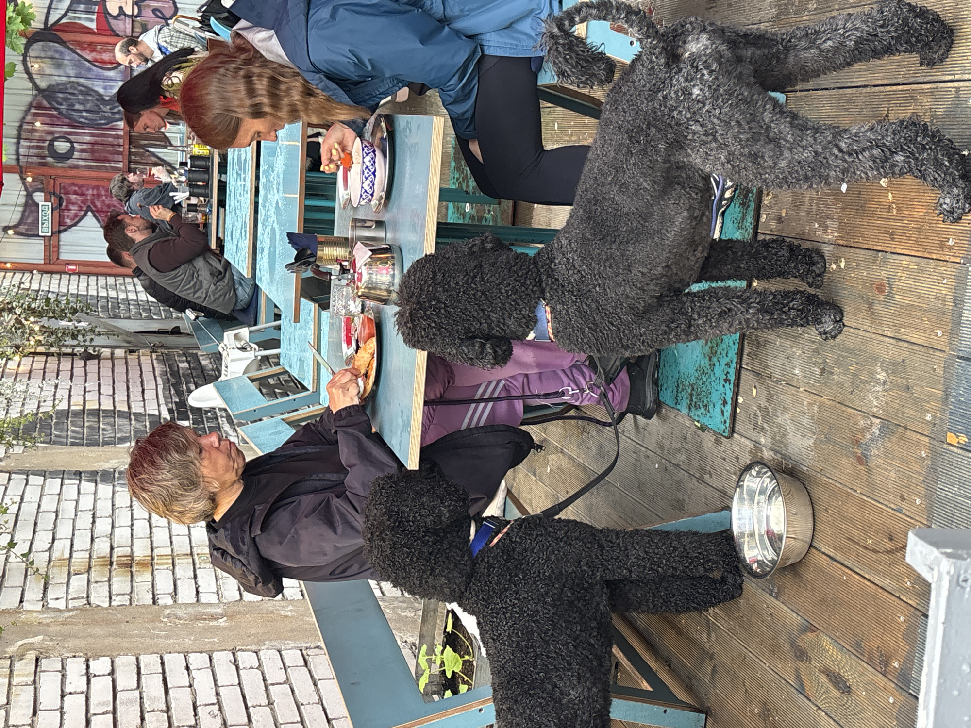 The image depicts an outdoor seating area at a restaurant or cafe, possibly in Komarovo, Russia, judging by the context. The scene is set on a wooden deck with several tables and chairs. Two black poodles are prominent in the foreground, one standing facing left, the other facing right. A woman in a black jacket and purple pants is seated at a table, engaged in eating. Another woman in a blue jacket is seated further down the table, also eating. Several other individuals are seated at tables in the background, with one person at a table in the middle ground appearing to interact with another person. The environment includes brick walls, graffiti on a metal structure, and overhead greenery. Food and drinks are visible on the tables. A metal dog bowl is placed on the deck near the poodle on the left.