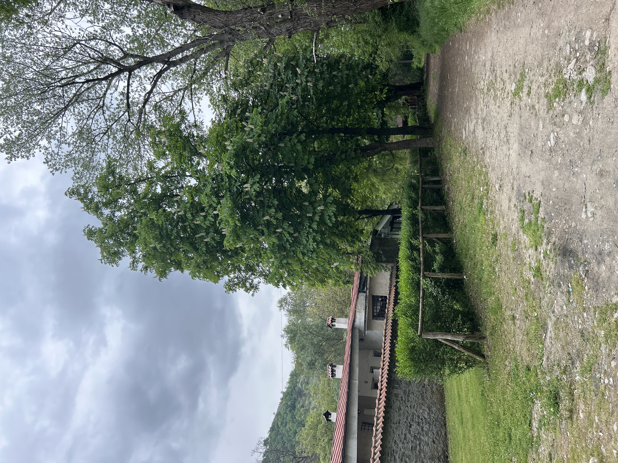 The image depicts a rural scene in Parvenets, Bulgaria. A gravel path runs along the right side of the frame, lined with grass and a low wooden fence. Beyond the fence, a stone building with a red tile roof and chimneys is partially visible. Trees with dense green foliage dominate the upper part of the image, extending from the left side towards the path. The sky is overcast with grey clouds. A hill covered in trees is visible in the background. There are no people visible in the image.