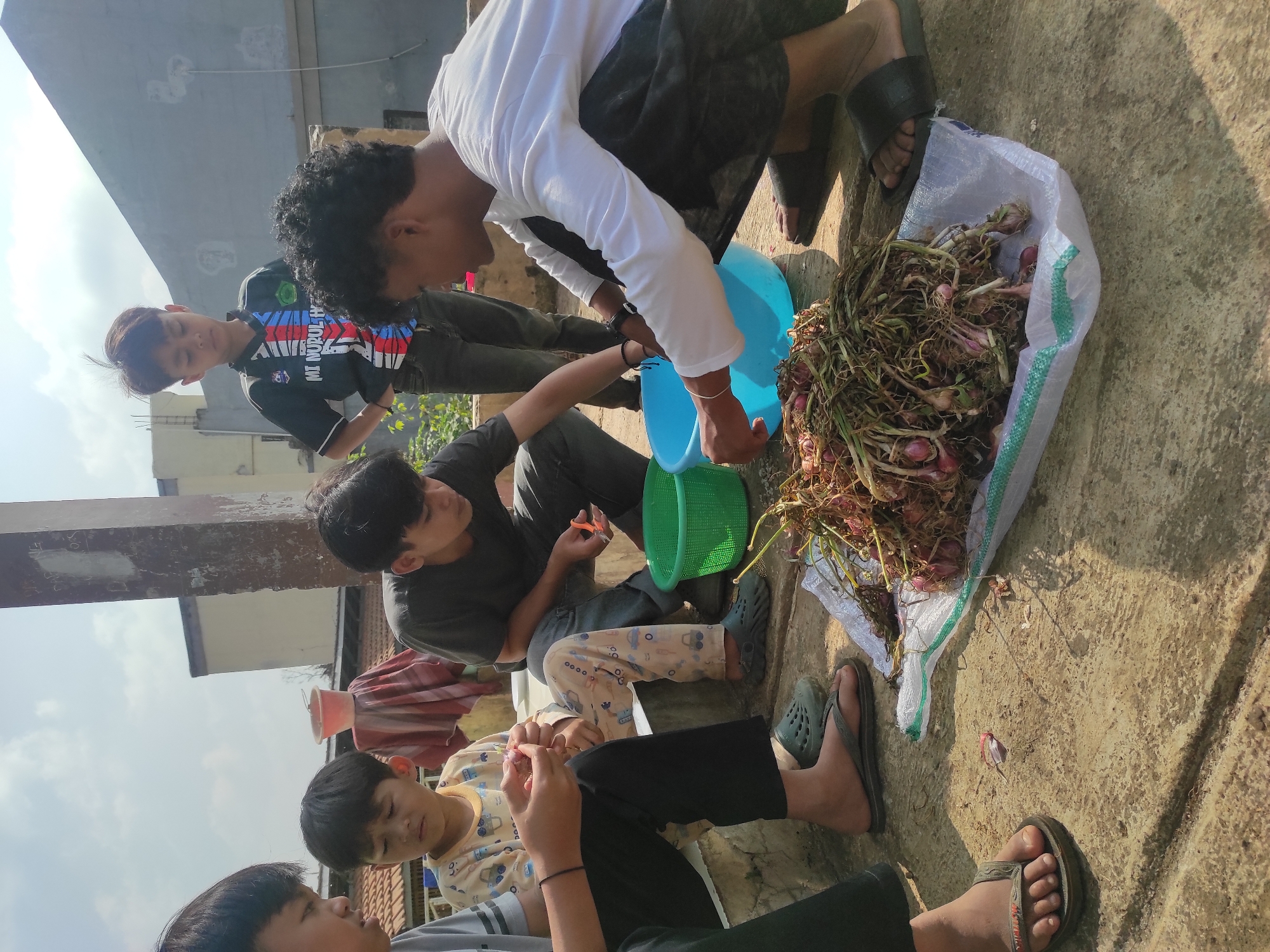 Five young males are on a rooftop in Sumedang, Indonesia. The subjects are engaged in preparing a harvest of shallots, which are piled on a white sack in the foreground. Two individuals are seated to the left, one is holding a shallot and the other appears to be looking at it. Another male is seated in the center, using scissors to trim the shallots. To the right, one male is kneeling and placing shallots into a blue basin, while another male stands behind him, observing the activity. Two green and blue plastic basins are also present on the rooftop. The environment is sunny with a partially cloudy sky, and buildings are visible in the background. The rooftop surface is concrete, and there are some potted plants and a draped cloth visible in the distance.