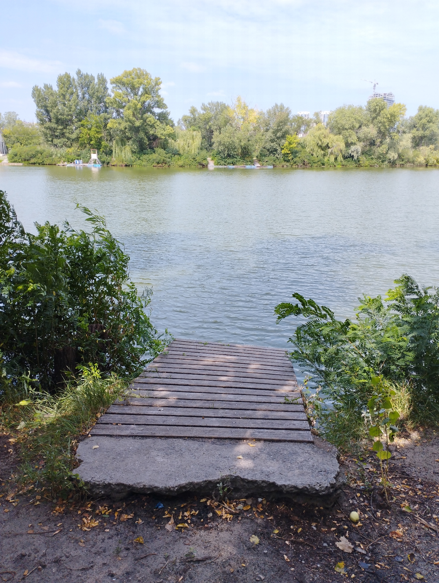 An eye-level, outdoor, full shot captures a wooden dock extending from a dirt and leaf-strewn shore into a calm, grey-blue body of water. Green foliage flanks the left and right sides of the dock. The background features a dense line of trees with a clear sky above. In the distance, across the water, two small rafts are visible, and further to the right, a tall construction crane is seen above the tree line. The scene is peaceful and appears to be in a natural setting.