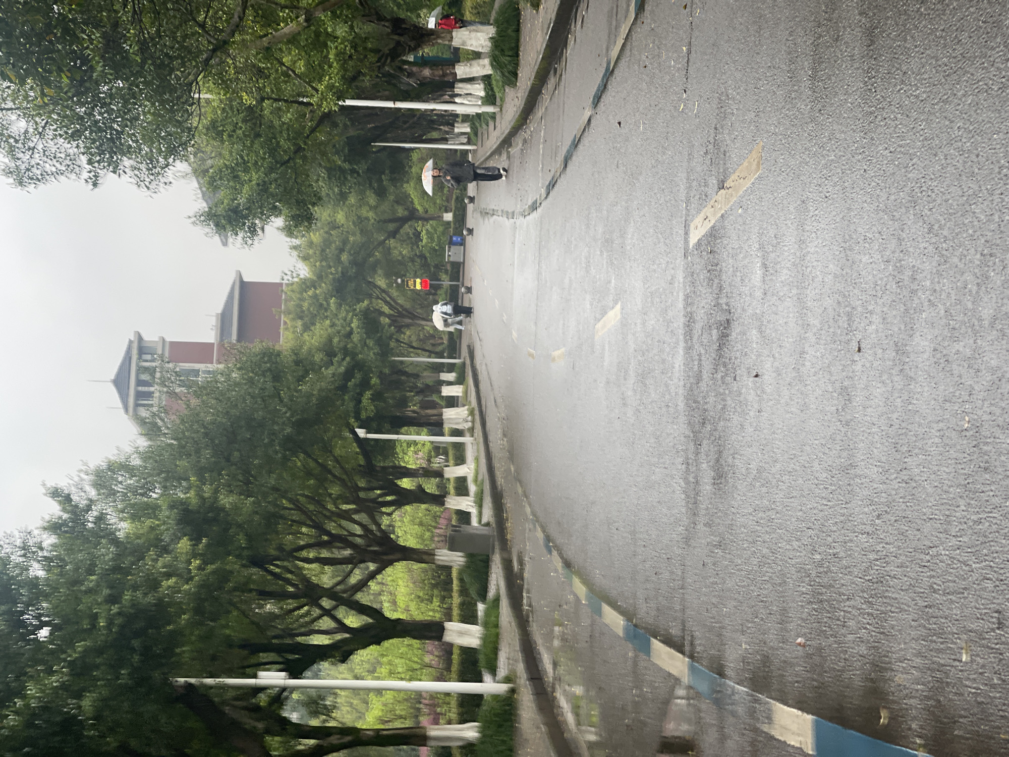 An outdoor scene depicts a wet asphalt road curving gently to the right, under an overcast sky in the Chongqing High-tech Zone, China. The road features faded yellow dashed lines and a distinct blue and white striped line along the left curb. Puddles and reflective surfaces indicate recent rainfall. Lush green trees with lower trunks painted white line both sides of the road, forming an avenue. Beyond the trees on the left, dense green foliage and pink flowering shrubs are visible. In the background, two multi-story red buildings with white trim and dark roofs, including a prominent tower section, are partially visible through the trees.
Four individuals are present. In the midground, one person walks towards the viewer on the right sidewalk, holding an open white umbrella with an orange pattern. Further down the road on the left, two individuals are clustered; one in a light-colored top with a backpack bends over, holding an open white umbrella, while the other is mostly obscured. On the far right, partially visible behind a tree, a fourth individual holds a red umbrella. White streetlights are spaced along both sidewalks. A dark grey cylindrical waste bin stands on the left sidewalk, and several dark, hemispherical bollards are positioned on the right side of the road. A red rectangular sign with white text is partially visible on the right, near the center of the image.