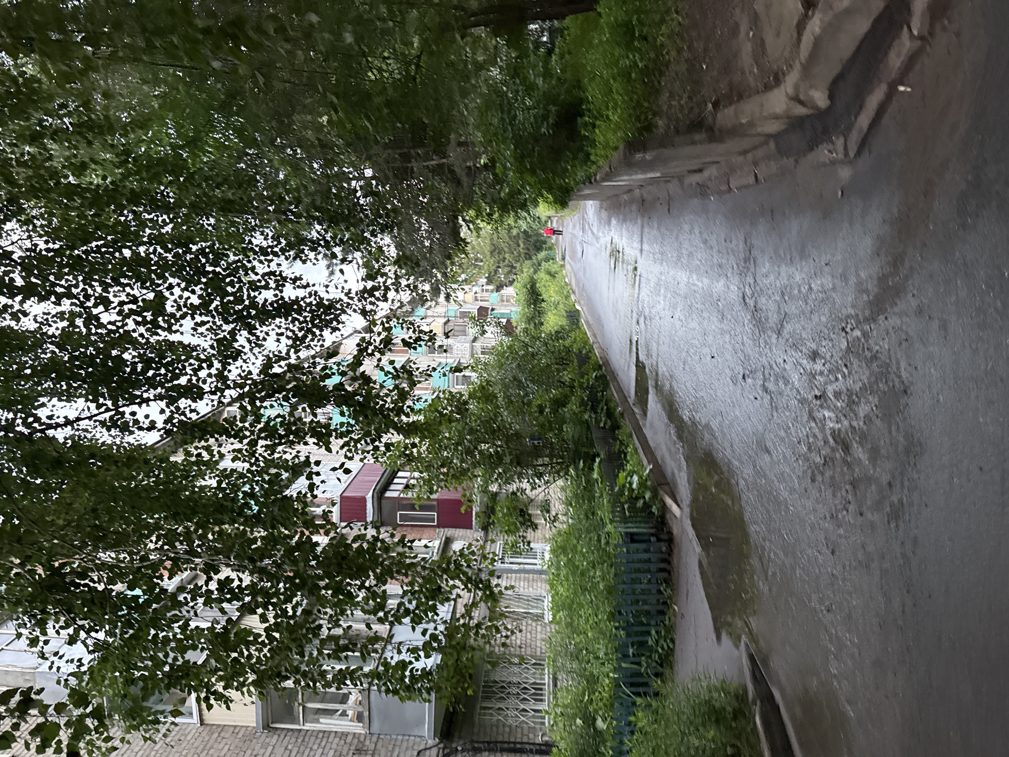 The image depicts a street scene in Kazan, Russia, likely after a rain shower. A wet asphalt pathway runs through the frame, reflecting the overcast sky and the surrounding greenery. To the left, apartment buildings are visible, with their facades partially obscured by lush trees and foliage. The buildings appear to be constructed from brick and have multiple stories, featuring windows and balconies. A person wearing a red jacket is visible in the distance, walking along the pathway. The overall atmosphere suggests a quiet, perhaps early morning or late afternoon setting, with the dampness on the ground indicating recent precipitation. The dense trees lining the path contribute to a sense of natural beauty within the urban environment. The image does not contain any discernible text.
