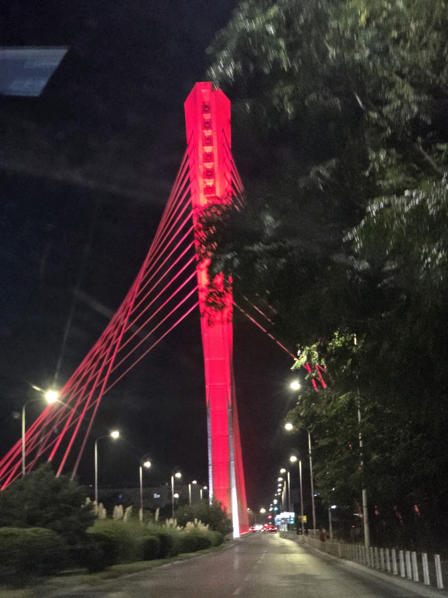 The image captures a nighttime view of the Millennium Bridge in Podgorica, Montenegro. The cable-stayed bridge is illuminated in bright red, creating a striking contrast against the dark sky. The bridge's distinctive pylon is prominently featured, with numerous red cables extending outwards. Several streetlights line the roadway leading towards the bridge, casting a yellowish glow. On the right side of the road, lush green trees partially obscure the view, with some of their branches illuminated by the bridge's lights. The road surface appears wet, suggesting recent rain. A few cars are visible on the road in the distance, their headlights and taillights creating streaks of light. The overall scene conveys a sense of urban infrastructure illuminated at night, with the Millennium Bridge serving as a central visual element.