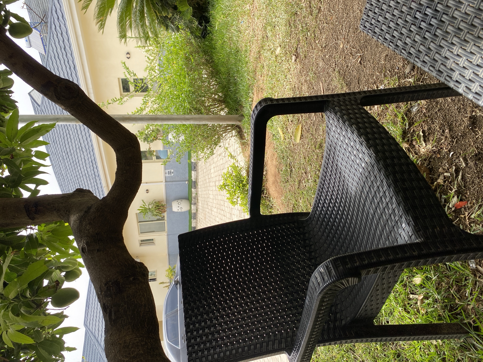 The image displays an outdoor scene, likely a garden or patio area, in what appears to be Barakin Akawo, Nigeria, during the daytime. In the foreground, a dark, woven outdoor chair, possibly made of plastic rattan, is prominently positioned on the right side, resting on a patch of grass mixed with dry leaves.
To the left, a thick tree trunk with branching limbs curves through the frame, adorned with lush green leaves and several unripe, green fruits that resemble mangoes. Beyond the chair and the tree, a paved walkway leads toward several buildings.
The background features a two-story building with a light-colored, possibly cream or pale yellow, facade and a distinct dark gray or blue patterned roof, suggesting tiles. Further back, another light-colored building is partially visible. The area is rich with vegetation, including green bushes and smaller plants scattered around the buildings and along the walkway. A palm frond is visible at the very top edge of the frame. A white car is partly seen behind the chair, and a white cylindrical object with circular perforations, possibly a light fixture, is near one of the background buildings.
The lighting suggests a bright day, perhaps mid-morning or afternoon, with soft shadows indicating either an overcast sky or diffused sunlight. No people are present, and there is no visible text. The overall atmosphere is tranquil and verdant.