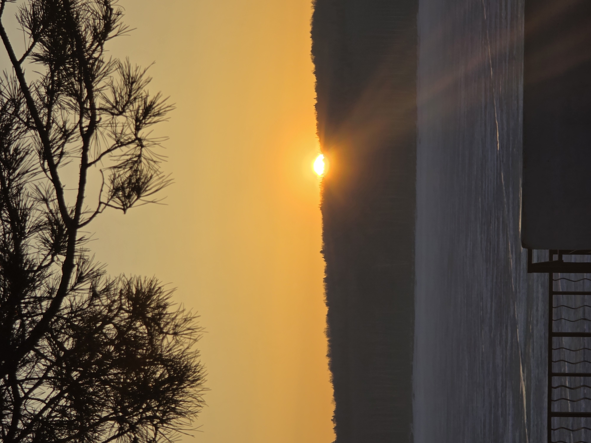 The image captures a sunset over a body of water, possibly a lake or river, with a silhouetted treeline on the opposite shore. The sun is positioned low on the horizon, creating a bright, golden glow across the sky and reflecting on the water. A silhouetted tree is visible in the foreground, and a structure with a ladder is on the right. The location is suspected to be in Chaikovsky, Russia. The absence of people or immediate actions indicates a still, peaceful setting.