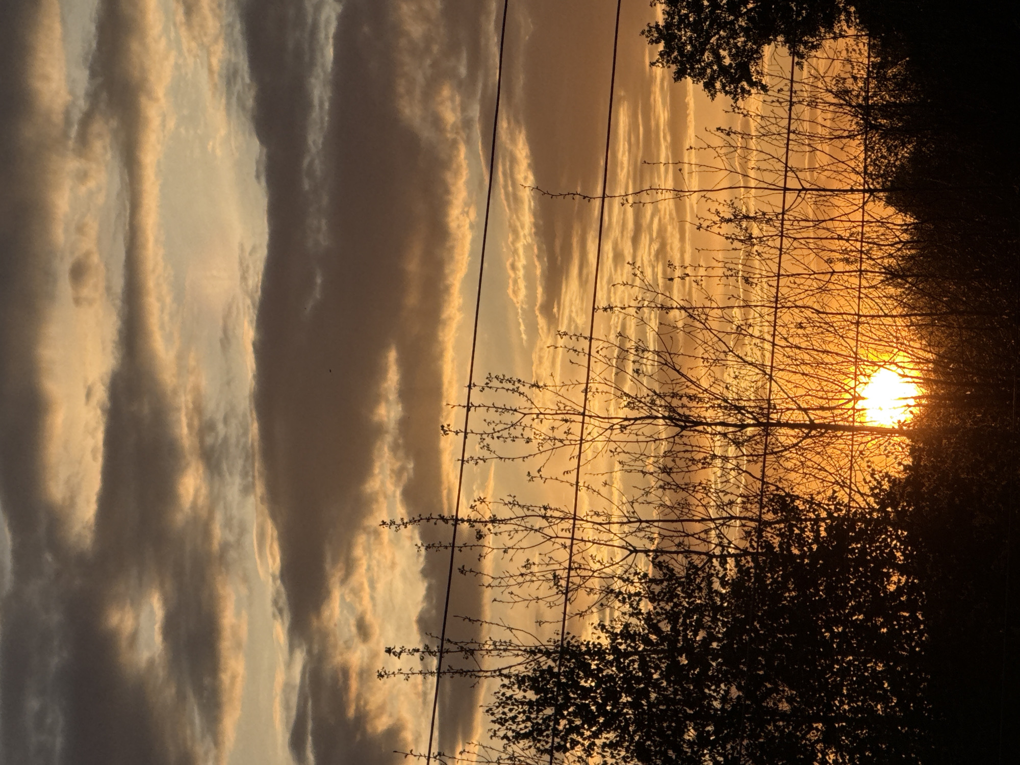 The image depicts a sunset sky with clouds illuminated by golden light. Silhouetted tree branches and foliage are in the foreground, partially obscuring the sun. Power lines stretch across the sky. The location is Unknown, Russia.
