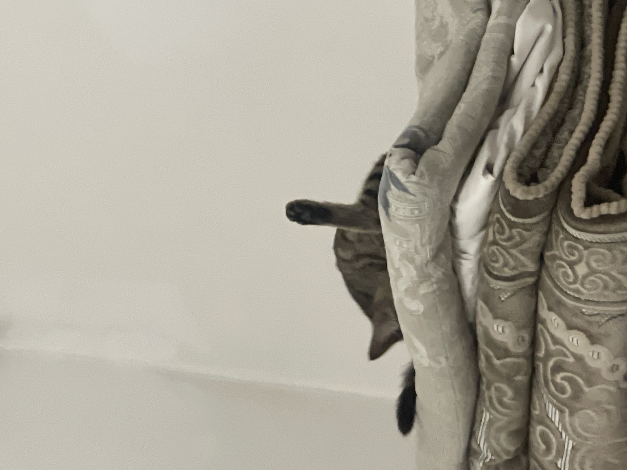 A tabby cat is resting on a pile of folded blankets, with its head and body mostly obscured by the blankets. One of its paws is raised upwards, and its tail is visible to the left. The background consists of a plain, white wall. The scene appears to be indoors.
