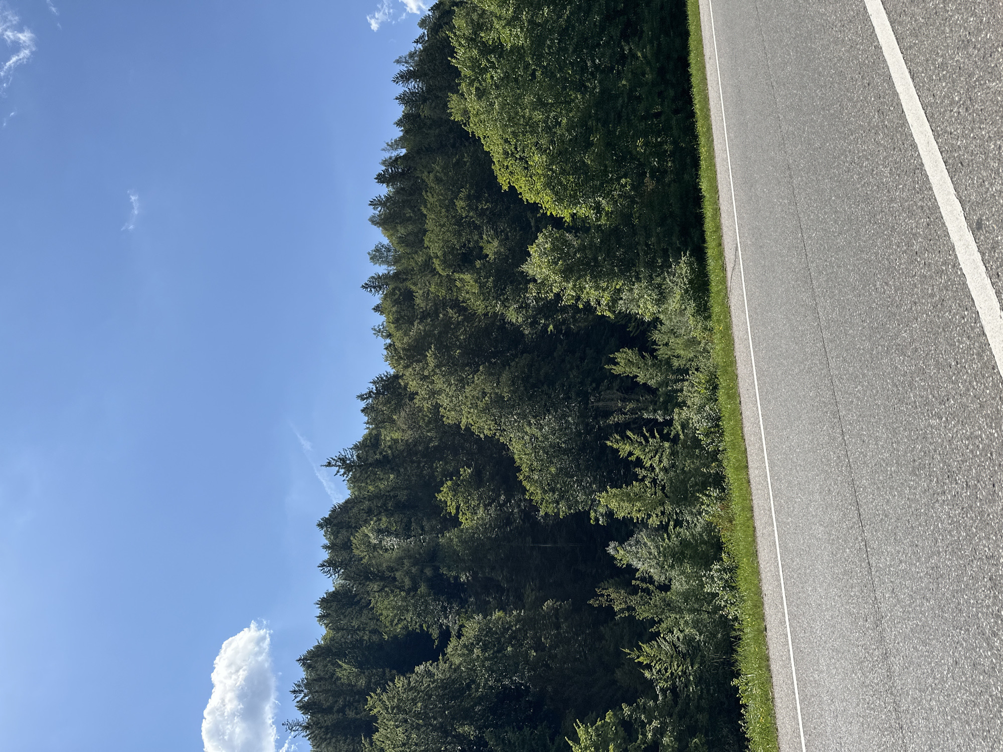 The image depicts a paved road running alongside a dense forest. The road has a white line marking its edge and another white line dividing lanes. Sunlight illuminates the scene, suggesting it is daytime. The sky is a clear blue with a few wispy clouds. The forest is a vibrant green, indicating lush vegetation, likely deciduous trees mixed with some evergreens. A narrow strip of grass separates the road from the trees. The perspective is from a low angle, looking forward along the road and into the forest. The image is a landscape-oriented photograph. No people, objects, or text are visible. The location context is Berchtesgaden, Germany. The overall mood is serene and natural.