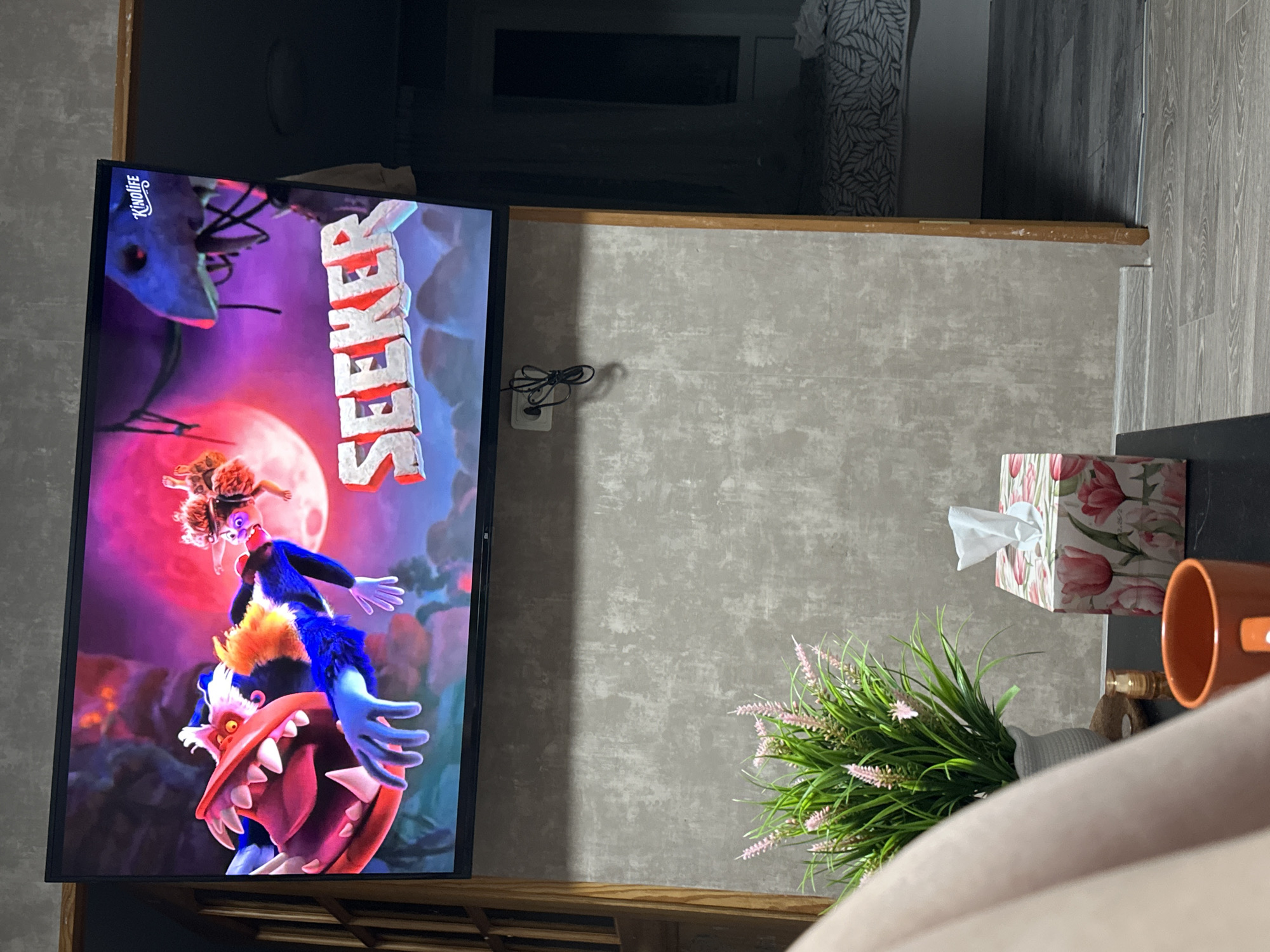 The image shows a television screen displaying the animated movie "Seekers" by Kinolife. The TV is mounted on a wall, likely in a living room setting. Near the TV are decorative items, including a flower arrangement in a gray vase and a tissue box with a floral design. A portion of a sofa or chair is visible in the foreground.
There is no information within the image to suggest it was taken in the city of Chaikovsky, Russia, or to provide specific details about people, actions, interactions, or the environment beyond what is directly visible in the photograph.