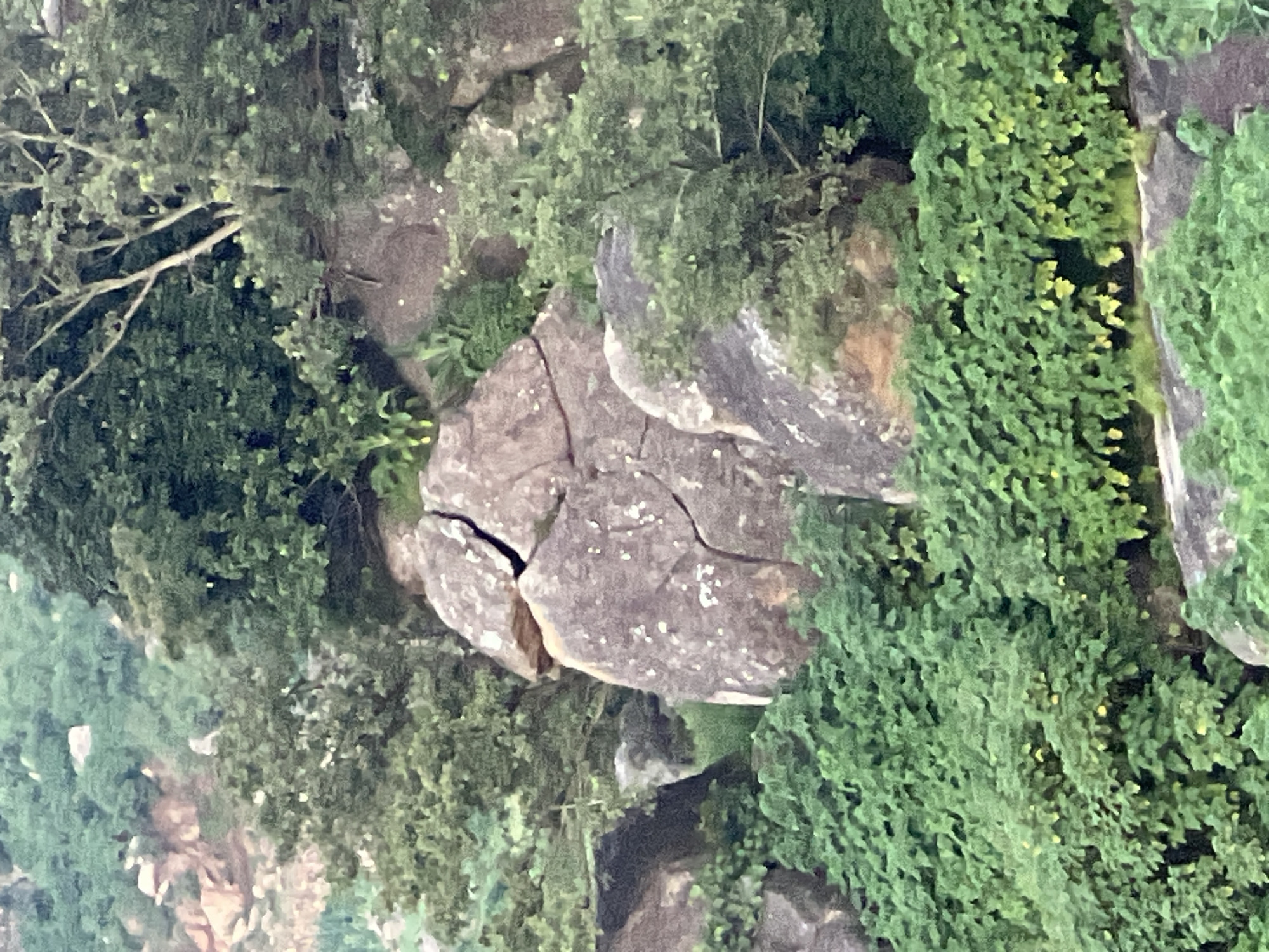 The image depicts a rocky, overgrown landscape, likely a hillside or mountainous area, with dense green foliage and large boulders. The rocks are weathered and show signs of fracturing. There are trees with visible branches and leaves interspersed with the vegetation and rocks. The overall impression is one of a natural, undeveloped environment. The image does not contain any identifiable landmarks or elements that would allow for specific location identification within Jos, Nigeria.