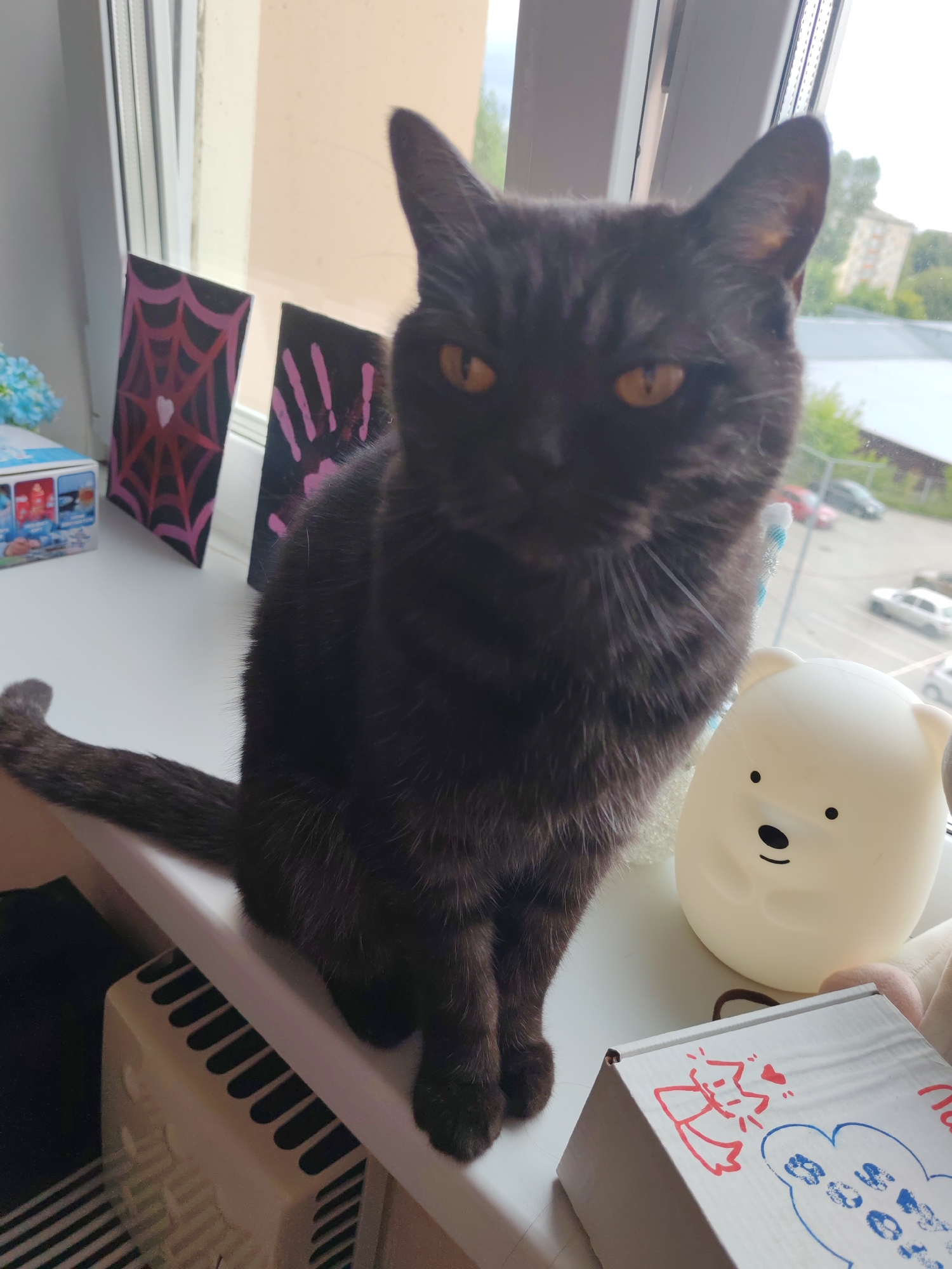 A black cat with yellow eyes sits on a white windowsill. To the left of the cat are two small decorative pictures: one with a pink spiderweb on a black background and another with a pink handprint on a black background. Next to these pictures is a white box with blue and red graphics. To the right of the cat is a white bear-shaped lamp and a plush toy. Behind the cat, through the window, a city skyline with buildings and trees is visible. The windowsill appears to be above a radiator.