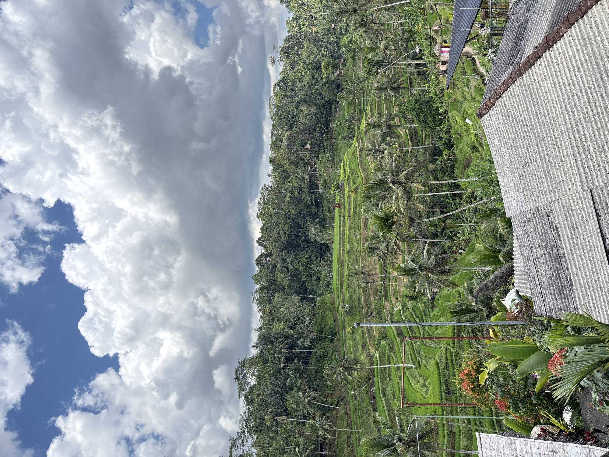 The image depicts rice terraces in Tegallalang, Indonesia. The landscape is dominated by lush greenery, including palm trees and cultivated rice paddies carved into the hillsides. Overcast skies with dense clouds create a dynamic backdrop. A building with a corrugated roof is partially visible in the foreground. Power lines are visible spanning the terraces. The overall scene conveys a sense of natural beauty and agricultural activity.