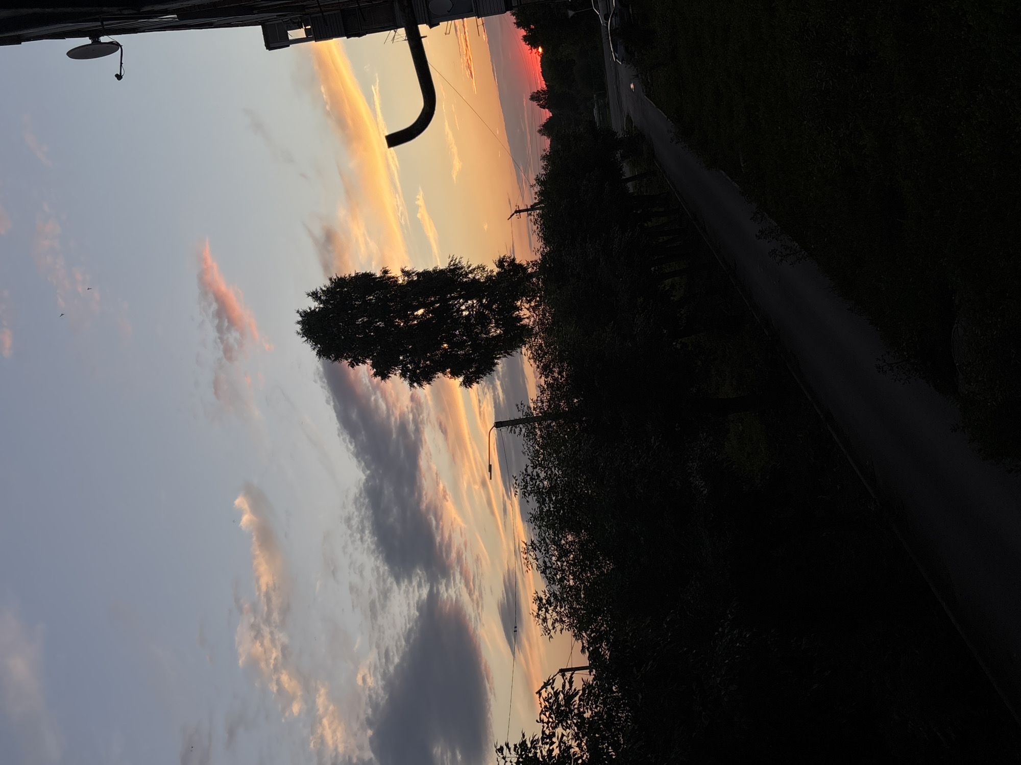The image depicts a sunset view from a residential area in Inskoy, Russia. A tall, slender tree stands silhouetted against the sky, which is a blend of soft blues, pinks, and vibrant oranges, with scattered clouds. To the right, a portion of a building is visible, with a satellite dish attached to its exterior wall. A dark, winding road cuts through the foreground, bordered by dense trees and foliage. Streetlights are also visible, adding to the urban landscape. The overall scene captures the transition from day to night in a Russian city.