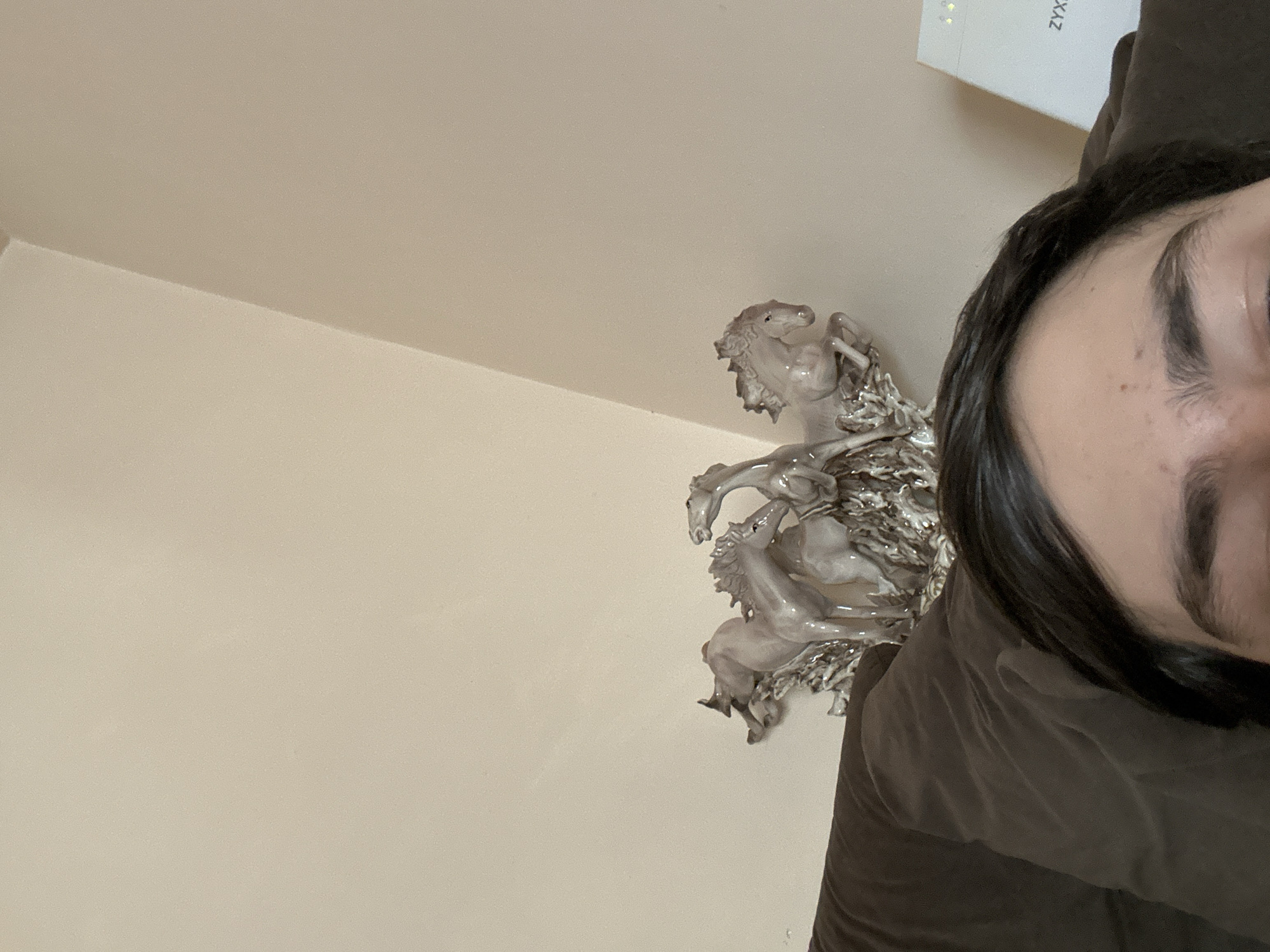 The image shows a low-angle shot taken indoors. A partially visible person is present, with their dark hair and face partially in view in the upper right quadrant of the image. A porcelain figurine depicting horses, possibly rearing or dancing, is mounted on a wall. The wall is painted in a light, neutral tone. A white object, possibly a box or container, is positioned behind the person. The setting appears to be a residential interior, possibly a house or apartment.