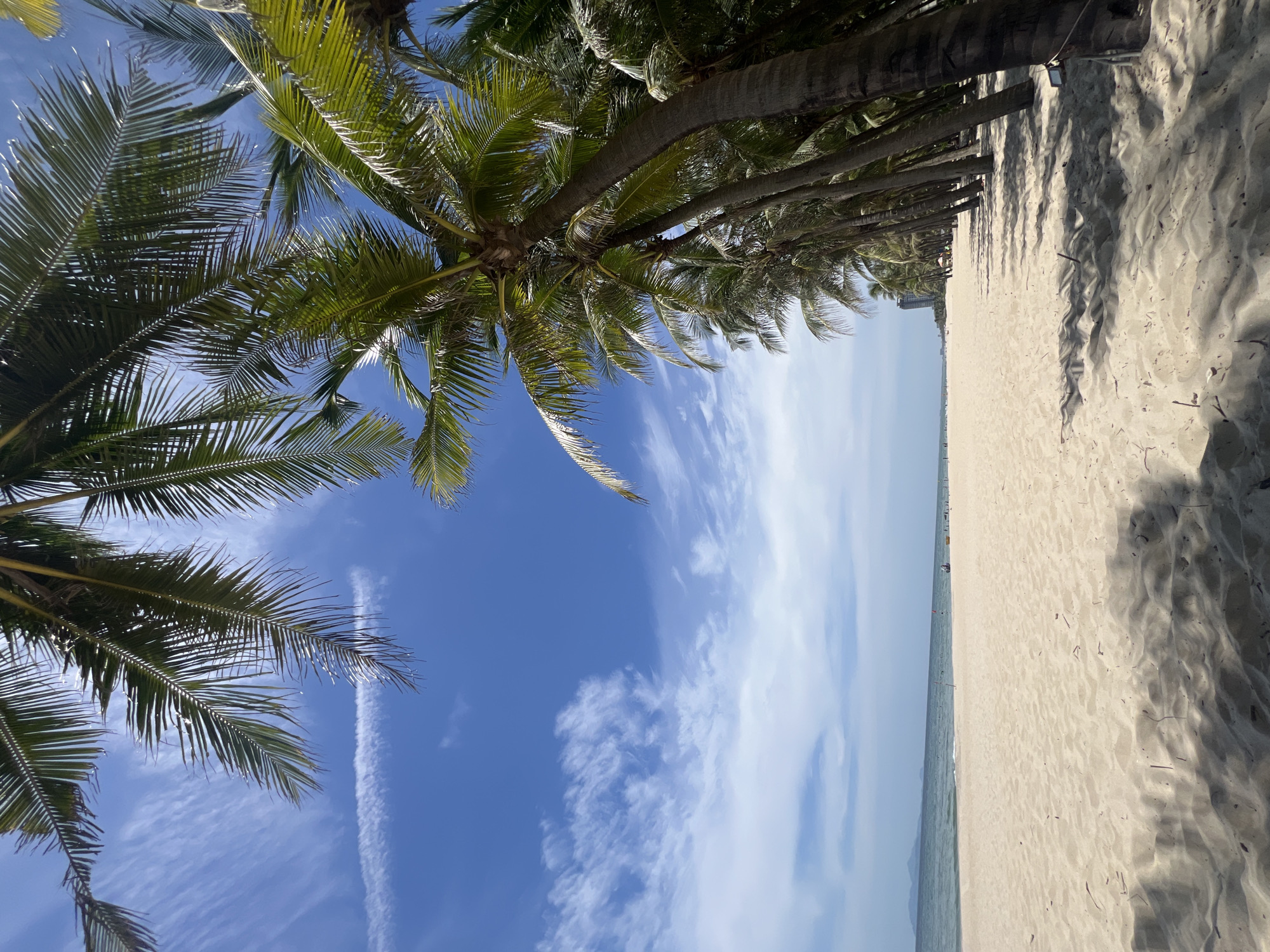 The image captures a serene beach scene in Đà Nẵng, Vietnam. The foreground is dominated by the lush green fronds of coconut palm trees, their leaves creating a canopy against a vibrant blue sky dotted with wispy white clouds. The perspective is looking upwards through the palm trees, suggesting the viewer is positioned directly beneath them.
The middle ground transitions to a wide expanse of pale, sandy beach. The sand is textured with ripples, indicative of gentle waves lapping at the shore, and dappled with shadows cast by the palm trees lining the edge of the beach. Further in the distance, the calm ocean stretches towards the horizon, meeting a hazy sky. On the far left, a few buildings are visible, hinting at a developed coastline. The overall impression is one of a bright, sunny day, likely late morning or early afternoon given the angle of the shadows.
The scene conveys a sense of tranquility and relaxation, typical of a tropical beach destination. There is no discernable activity or event taking place, but the pristine beach and clear sky suggest an ideal setting for leisure. No visible text is present in the image.