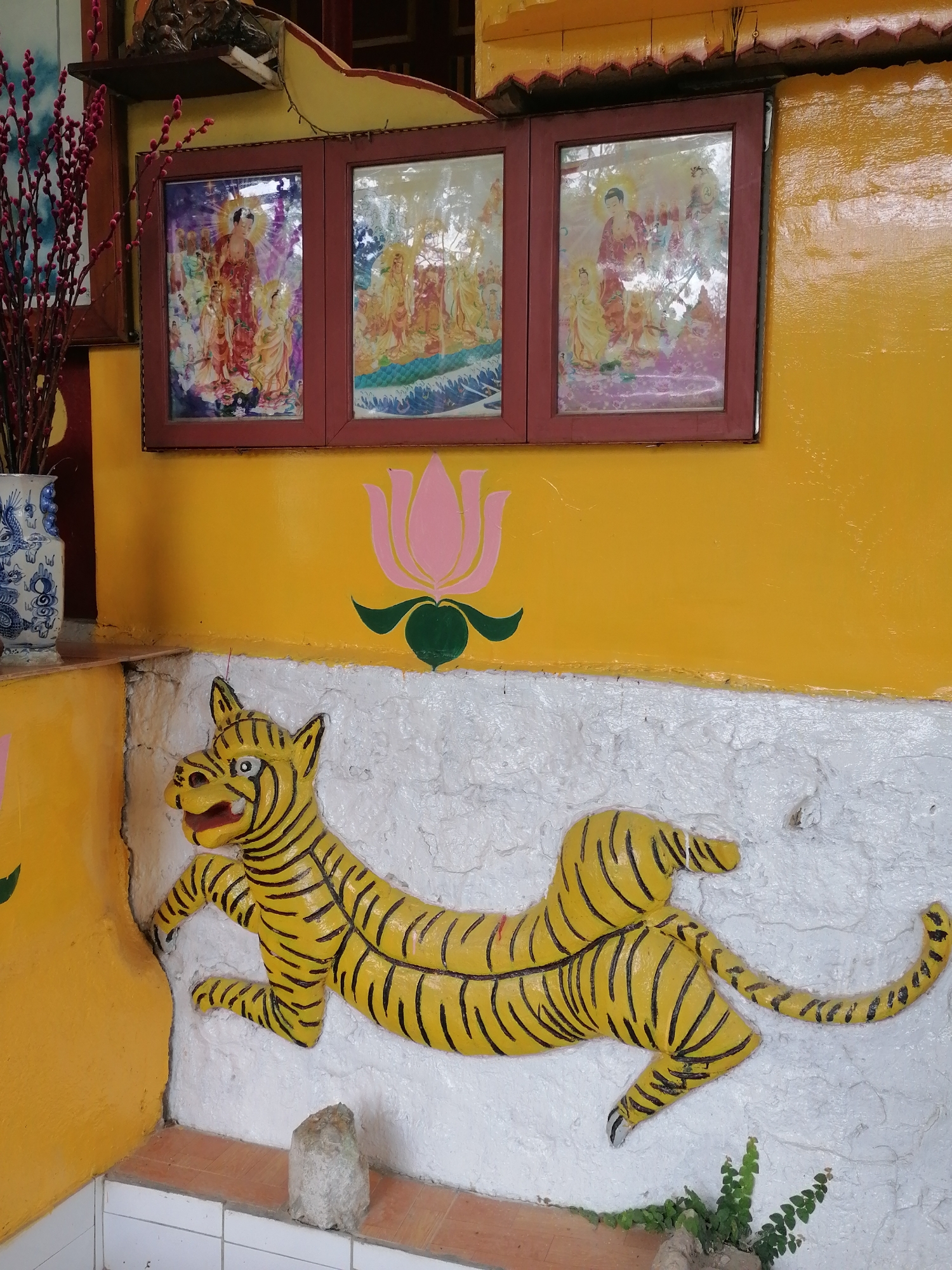 This image captures a vibrant and decorated wall section, likely part of a temple, shrine, or traditional building in Phường Xuân Hương - Đà Lạt, Vietnam.
The upper portion of the wall is painted a glossy, bright yellow. Mounted on this yellow section are three framed pictures with dark reddish-brown frames. These pictures depict colorful religious figures, possibly Buddhist deities or Bodhisattvas, rendered in a traditional, ornate style. Reflections on the glass somewhat obscure their details. To the left of the frames, on a small wooden shelf, a blue and white patterned ceramic vase, possibly with a dragon motif, holds a cluster of red-budded branches, reminiscent of pussy willow. Above the frames, part of a wooden structure, possibly an awning or beam, is visible.
Centered on the yellow wall below the framed pictures is a large, stylized painting or decal of a pink lotus flower with green leaves, a significant symbol in many Asian cultures and religions.
Below the yellow wall, the lower section features a highly textured, rough white surface, possibly stucco or concrete. A prominent three-dimensional relief sculpture of a stylized tiger is affixed to this white wall. The tiger is painted yellow with bold black stripes, and its mouth is open, revealing teeth. It is depicted in a dynamic, elongated pose, as if leaping or stretching. Below the tiger, a small patch of green foliage grows. The very bottom of the image shows a tiled surface, likely a floor or a lower ledge, and two small, irregularly shaped light-colored rocks are resting on it.
The overall impression is one of rich cultural and spiritual significance, characterized by vivid colors and traditional artistic elements. No specific activity is occurring, and there is no visible text in the image. The bright, even lighting suggests it is daytime.