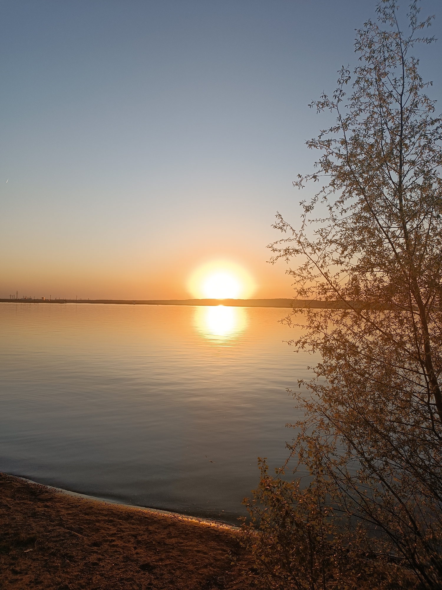 The image shows a serene sunset over the Kama River in Chaikovsky, Russia. The sun is positioned directly above the water, casting a bright reflection. The foreground consists of a sandy shoreline on the bottom left and a tree with delicate foliage on the right. The background reveals a distant shoreline with industrial structures, possibly related to the chemical plant, silhouetted against the sunset glow. The sky transitions from a light blue at the top to an orange gradient near the horizon.