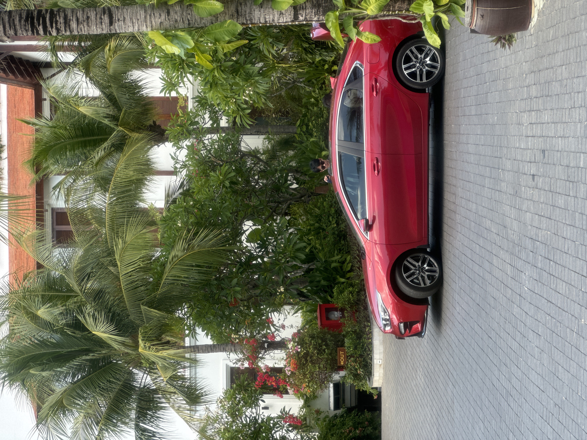 A red car is parked on a paved road in Phu Thuy Ward, Vietnam. Palm trees and tropical plants surround the car and a nearby white building with brown trim. The sky is not visible. A person is standing near the car, partially obscured by foliage. A fire hydrant is visible near the building.