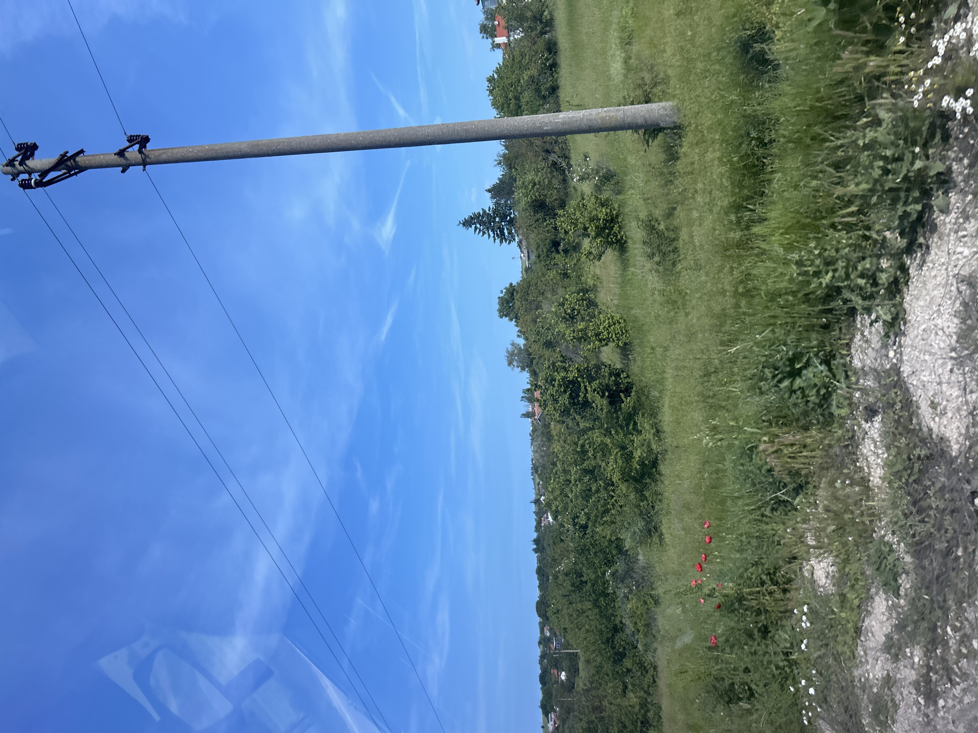 The vertically oriented image presents a serene outdoor landscape under a brilliant blue sky, likely taken from a vehicle. A sturdy concrete utility pole with dark insulators and power lines extends from the left side of the frame into the upper center, with several thin electrical wires stretching across the clear sky. The sky itself is a vivid azure, dotted with sparse, wispy white clouds.
The lower portion of the image reveals a lush green environment. Tall grasses dominate the foreground and midground, interspersed with patches of wildflowers, including several striking red poppies and numerous small white blossoms. Behind these fields, a dense treeline forms the horizon, featuring various types of trees and shrubs, with a distinct conical evergreen tree standing out. In the far distance, above the treeline, small buildings with red roofs are visible, hinting at a village or settlement, consistent with the location of Kumanovo, Bulgaria. A light-colored, possibly gravel path or dirt road runs along the right edge of the frame. A faint reflection, possibly of a car's dashboard or interior, is noticeable in the bottom left corner. The scene is illuminated by bright daylight, suggesting a sunny morning or afternoon. No specific activities or visible text are present.