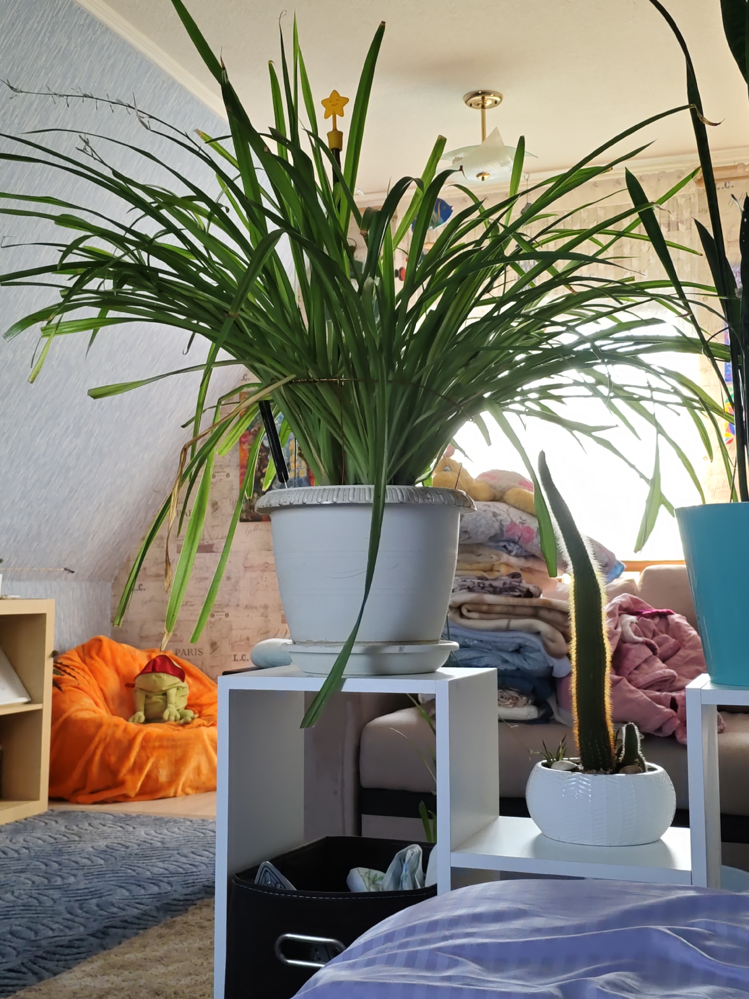 The image depicts an indoor scene, likely a bedroom, with the sunlight streaming in from a window. Prominently featured is a large potted plant with long, green leaves, positioned on a white shelf unit. To the right of this plant, on the same shelf unit, is a smaller white pot containing a cactus. A blue pot is partially visible to the right of the cactus pot.
In the background, behind the plants, are stacks of colorful folded blankets and cushions. A plush orange beanbag chair with a green stuffed frog wearing a red hat is visible in the left portion of the frame. The wall behind the beanbag chair appears to be wallpapered with a light blue pattern. A white ceiling light fixture is visible near the top center of the image.
In the foreground, a portion of a bed with light purple striped bedding is visible. The floor is covered with a carpet, and a dark bin is placed on the floor next to the shelf unit.
There are no people visible in the image. The scene appears to be a domestic indoor environment. The presence of a beanbag chair, stuffed toy, and casual arrangement of blankets suggests a relaxed, lived-in space. The sunlight indicates it is daytime.
The request to include the location of Rostov, Russia, cannot be fulfilled as there are no visual cues in the image that indicate this specific location.