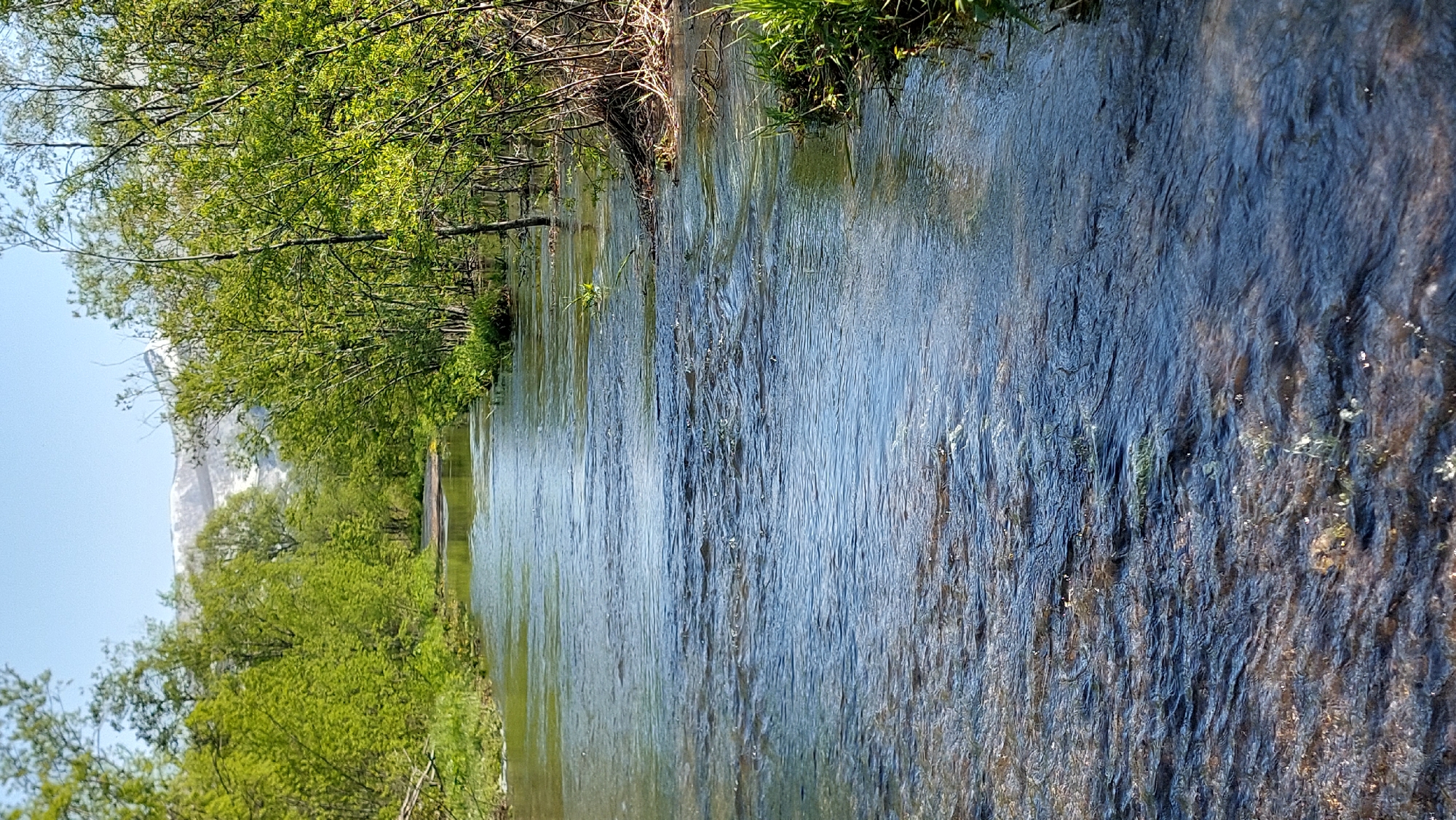 The image shows a serene, sun-drenched scene of a clear, shallow river flowing through a lush, green landscape. The riverbed is visible through the transparent water, revealing smooth stones and pebbles. The banks of the river are lined with dense vegetation, including vibrant green trees and grass, with sunlight dappling through the leaves. In the distance, a snow-capped mountain range pierces the clear blue sky, suggesting a mountainous region. This specific scene is located in the city of Koryaki, Russia, where the natural beauty of the rivers and surrounding mountains are characteristic of the area. The image depicts a peaceful, undisturbed natural environment, with no people or animals present. The overall atmosphere is one of tranquility and natural splendor.