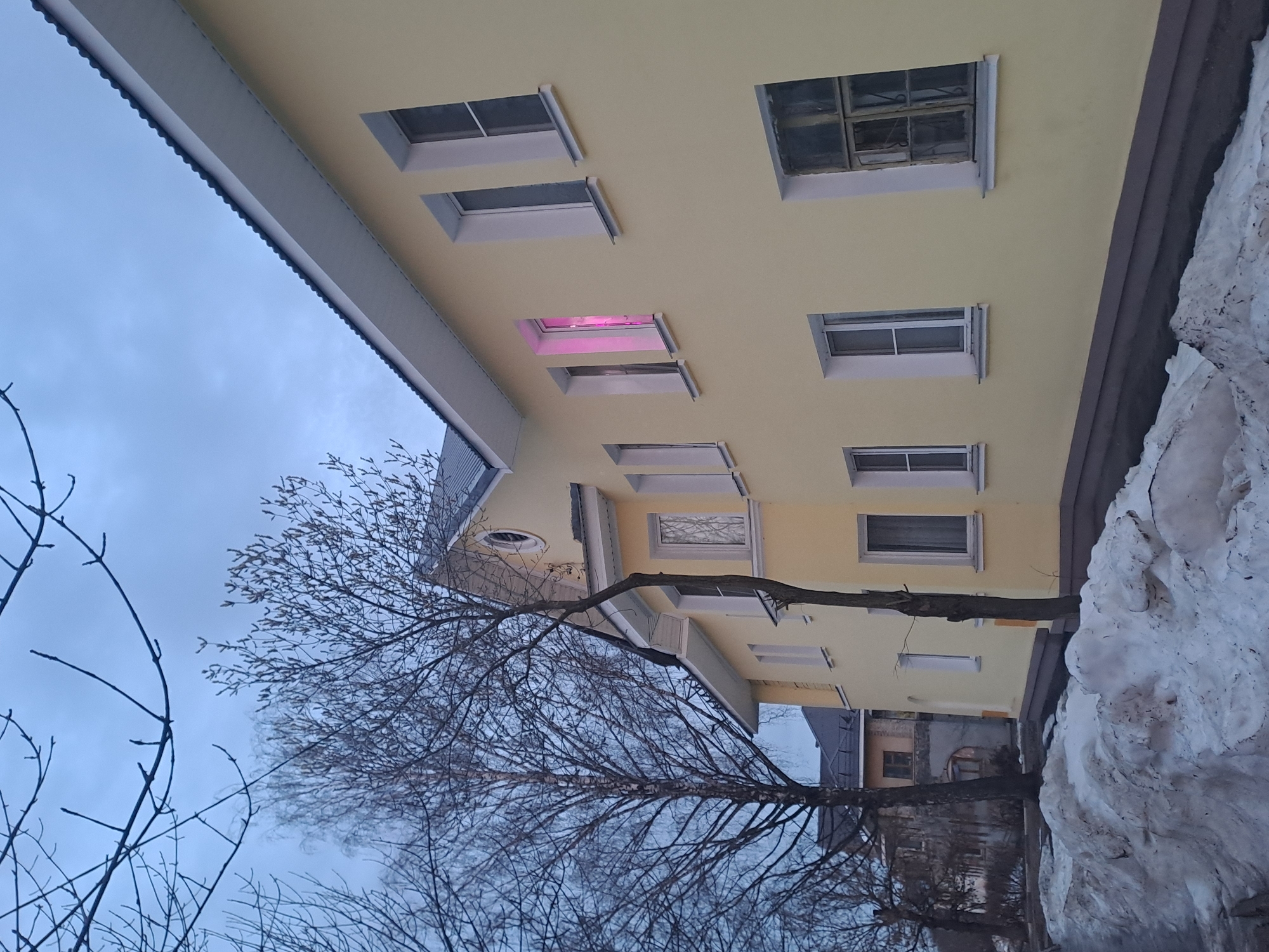 The image depicts a two-story building in Elektrostal, Russia, under an overcast sky, likely during late afternoon or dusk, with significant snow accumulation on the ground. The building's facade is painted a light cream or yellow, featuring white trim around its numerous rectangular windows and along the eaves of its dark gray, corrugated roof. A prominent feature is a second-story window on the right side of the main facade, which emits a strong, bright pink light. Other windows on the ground floor and second floor exhibit varying styles, some appearing modern with white frames, others with darker, possibly older frames. A small, circular attic window with white trim is visible on a gable projection. A slender, bare-branched tree stands immediately adjacent to the building's front, while a larger, bare deciduous tree is positioned further to the left. A large, uneven pile of snow, possibly melting, occupies the foreground. In the background, partially obscured by trees, another residential-style building with a dark roof and lighter walls is visible. No individuals or direct actions are observable.