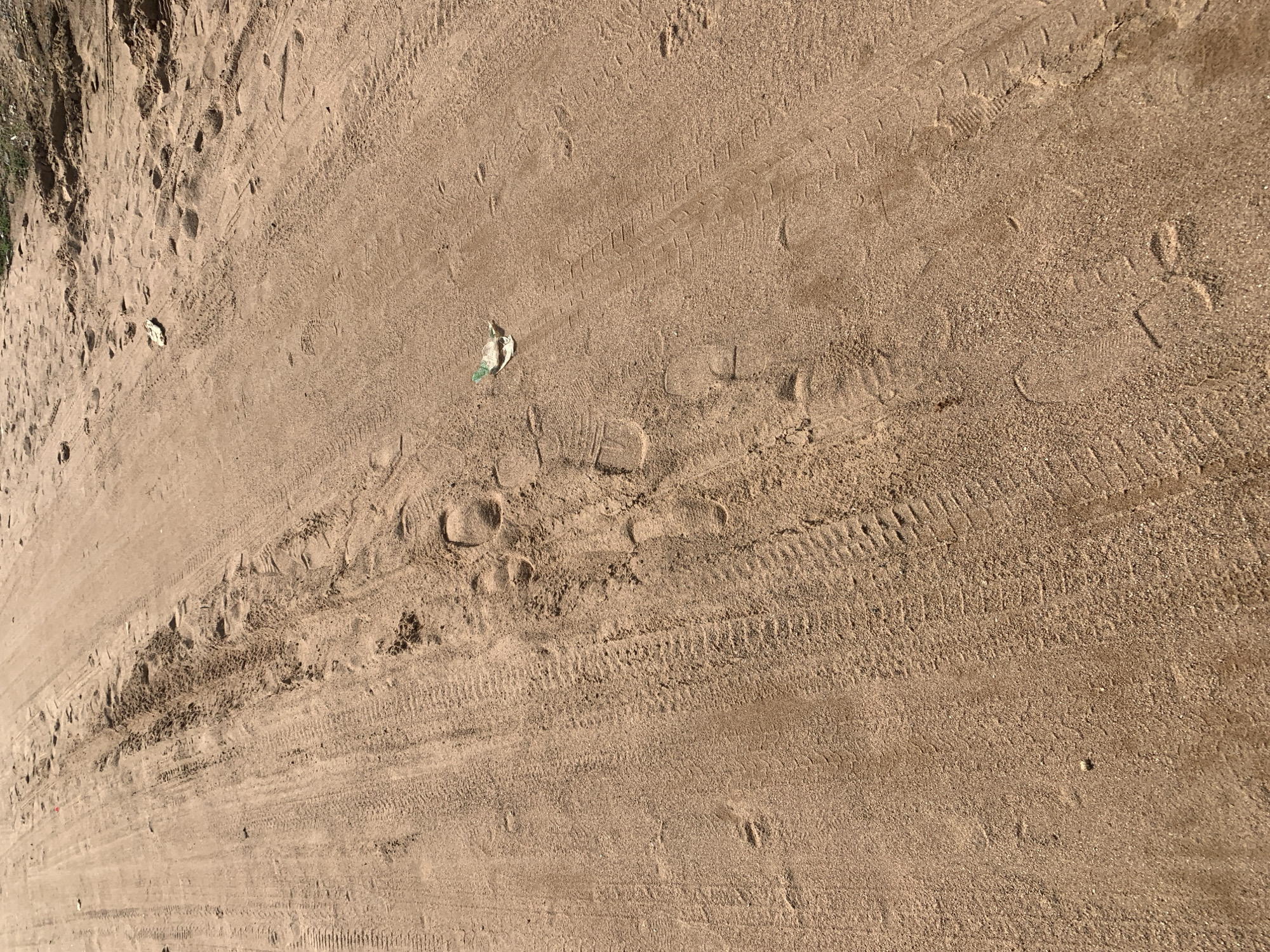 The image shows a dirt road with tire tracks and footprints in the sand. The road appears to be dry and dusty. There is a small piece of white and green trash on the road. The environment is outdoors, with a clear sky and sunlight casting shadows. The location is unknown.