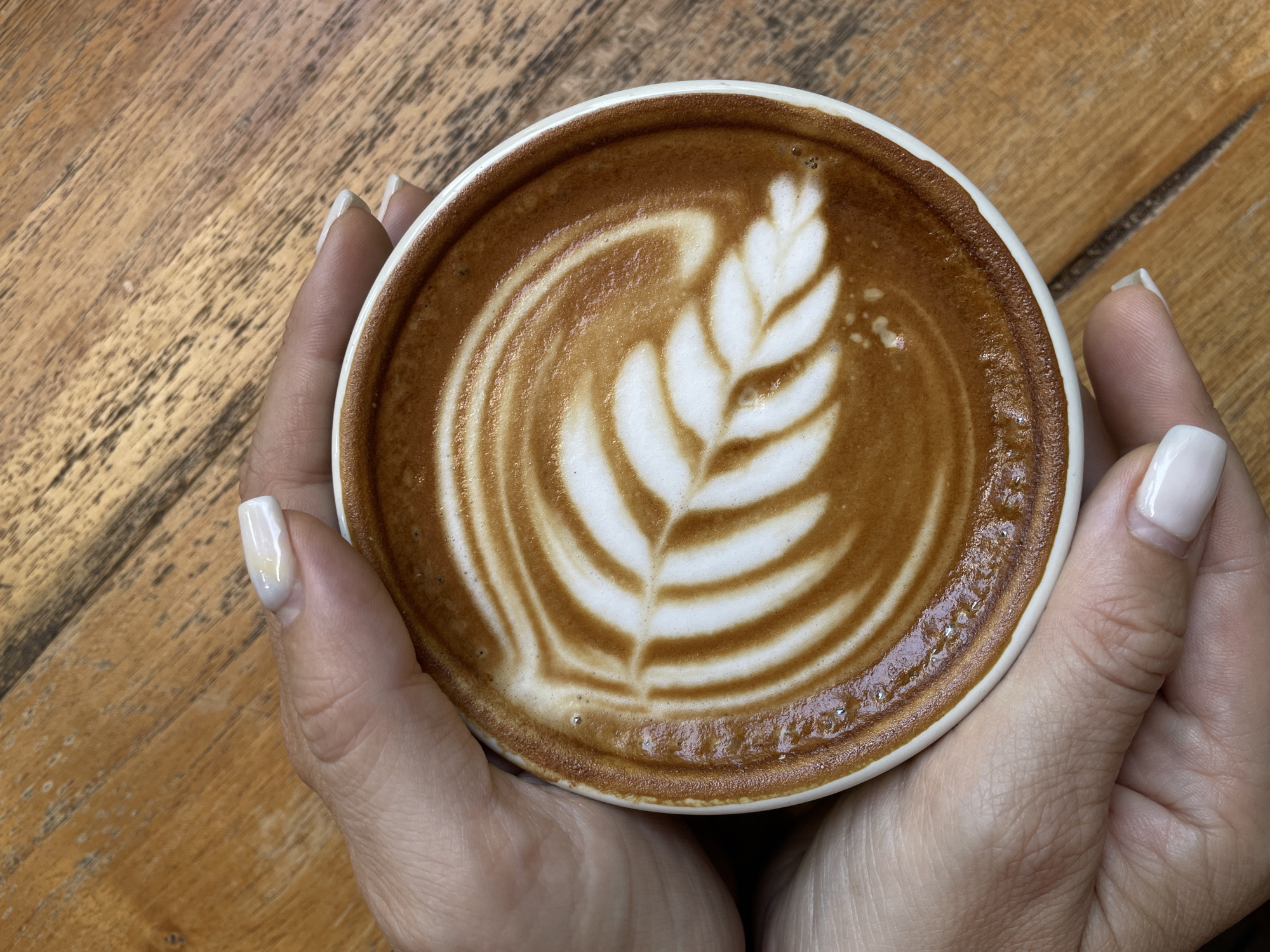 A top-down close-up shot captures a white cup of coffee adorned with latte art, held by two hands. The coffee features a design resembling a fern leaf, created with white milk foam against the rich brown of the coffee. The hands, with their pale skin and neatly manicured white nails, cradle the cup against a wooden table. The table's surface shows a grain pattern with varying shades of brown, suggesting an outdoor or rustic setting. The image lacks specific details that would place it in Mengwi, Indonesia.