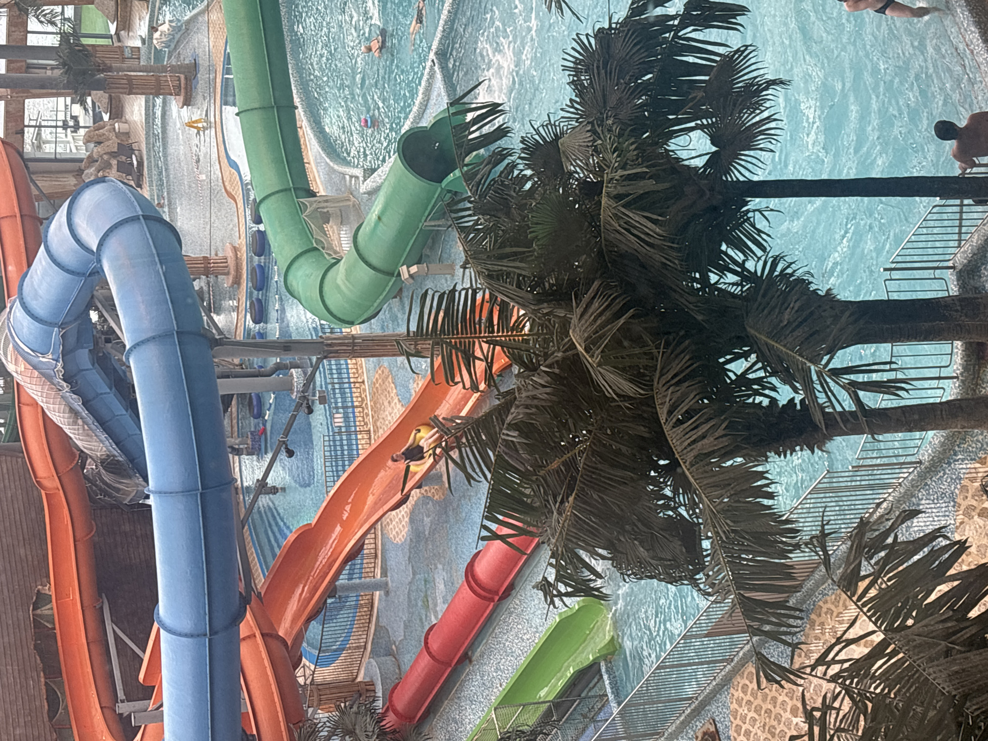 This image depicts an indoor water park with multiple slides and pools. In the foreground, several palm trees obscure parts of the scene. A blue tube slide curves through the upper portion of the image, and an orange tube slide descends from the left. Below these, a bright red tube slide and a green tube slide are visible, both leading into pools. One person, wearing a dark top and shorts, is seen on the orange slide in a yellow inner tube. Another person, in a yellow inner tube, is on the red slide. In the water, several individuals are visible, some swimming and one sitting on the edge of a pool. The environment is brightly lit with turquoise water filling the pools and the slides are made of colorful plastic. The overall setting suggests a recreational facility. The specific location in Saint Petersburg, Russia is not identifiable from the image.