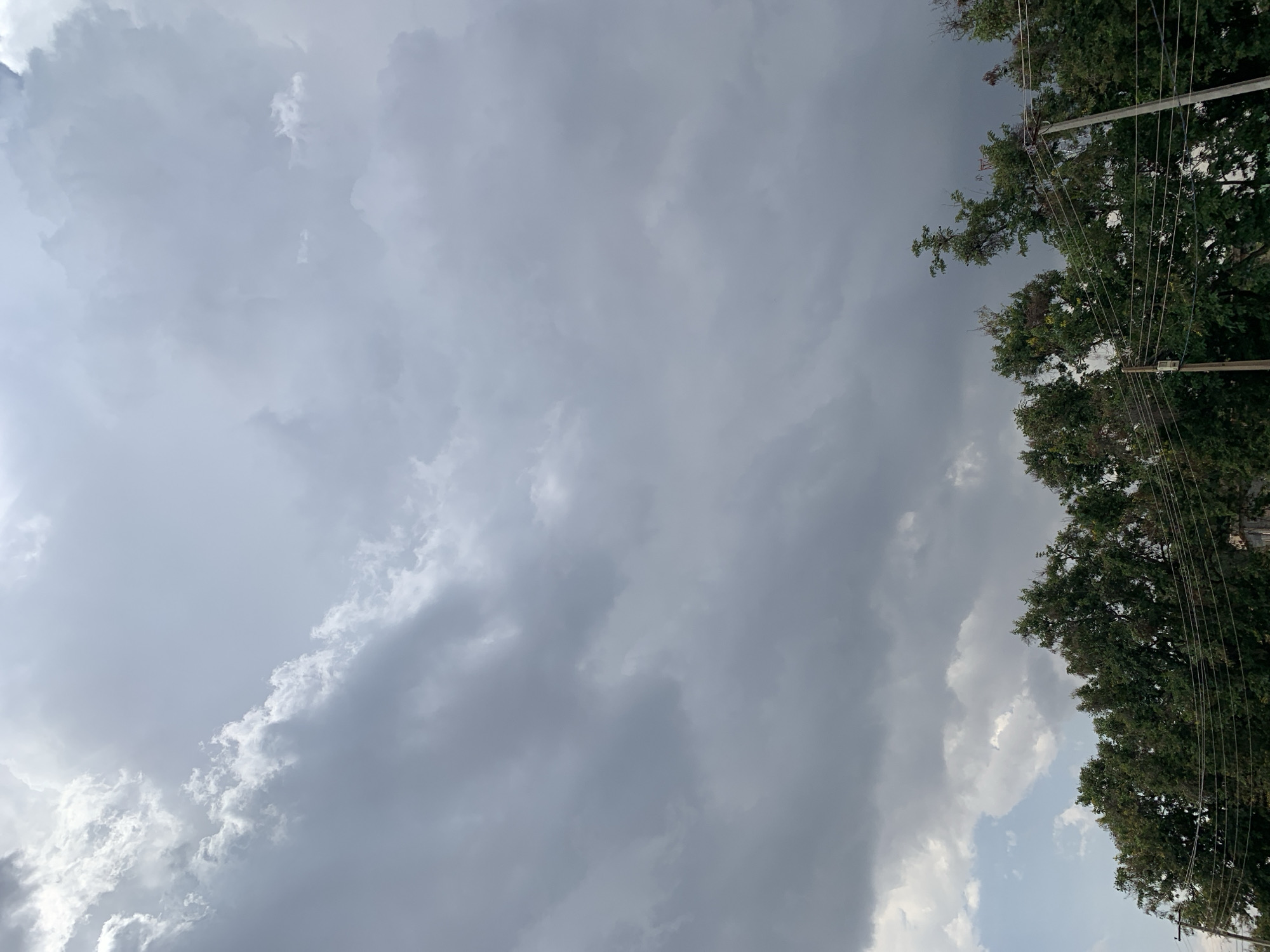 The image shows a cloudy sky with trees and utility poles/wires visible on the right side. The location is likely near New Stadium, Nigeria, based on the request. The sky is predominantly gray with varying cloud formations. The trees are green and appear dense. The utility poles and wires are silhouetted against the sky. No people are visible. The image is rotated 90 degrees counter-clockwise.