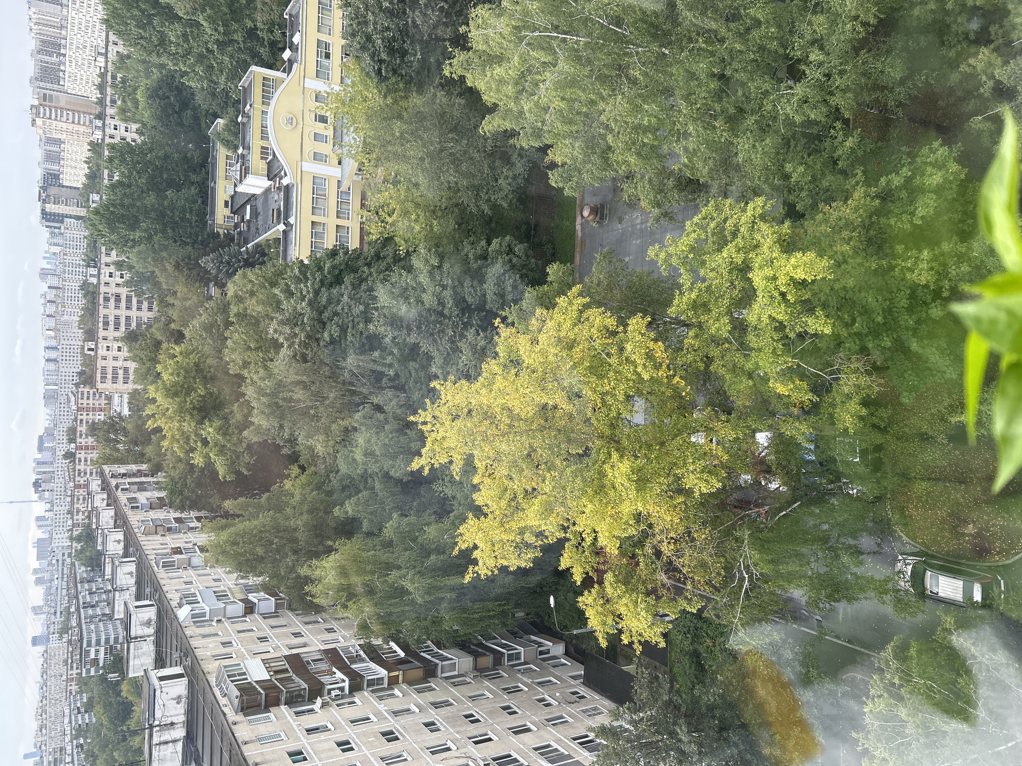 An aerial view shows a dense urban landscape in Moscow, Russia, characterized by mid-rise apartment buildings and abundant trees. The buildings are primarily concrete, with many featuring balconies and visible ventilation units on the roofs. A distinct yellow school building with arched windows is nestled amongst the greenery. The trees, a mix of deciduous and coniferous, are in various stages of foliage, with some showing autumn colors of yellow and green. Below the trees, paved courtyards and roads are visible, with a dark-colored car parked. The sky is overcast, contributing to the muted lighting of the scene. The overall impression is of a residential area with significant green spaces within the city.