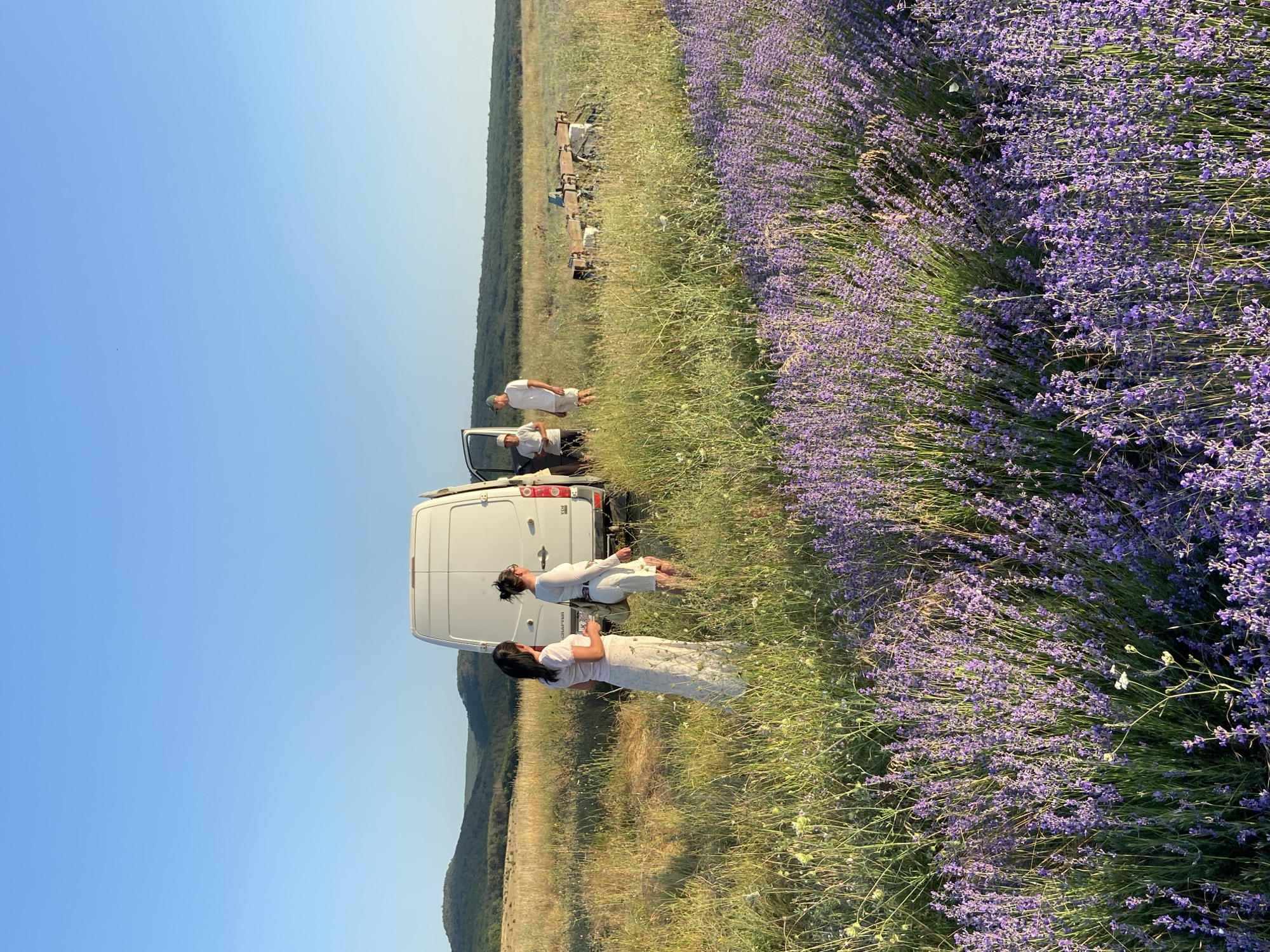 In a field of lavender and tall grass, a white van is parked with its side door open. Two women, one in a long, floral skirt and a light pink top, and another in a white top and shorts, stand near the van's rear. Three men are visible near the open side door of the van, two of whom are wearing white t-shirts and shorts, while the third wears a white t-shirt and a cap. In the background, rolling hills covered in trees are visible under a clear blue sky. To the right of the van, agricultural equipment is positioned in the field. The scene appears to be a rural setting, likely a lavender farm. The provided location, Верхнесадовский округ, Ukraine, indicates this is where the image was taken.