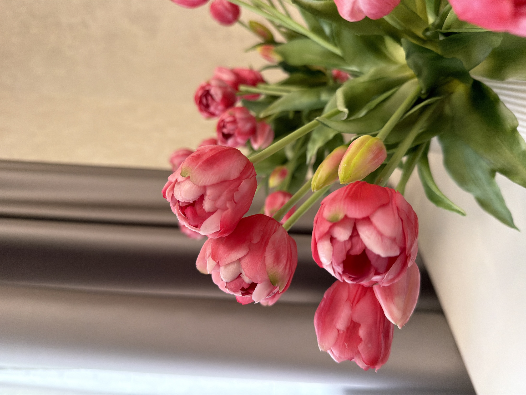 A close-up shot shows a bouquet of pink tulips in a white vase, with the flowers facing downward. The tulips are in various stages of bloom, with some fully open and others still forming buds. Their petals are a soft pink, with hints of green on the buds. The green leaves of the tulips are visible, extending upwards and around the flowers. The background is out of focus, showing a neutral-colored wall and some horizontal lines, possibly blinds or a textured surface. The lighting is soft and diffused, suggesting an indoor setting, possibly in natural light. The image captures the delicate beauty of the flowers and their textures. No people or text are visible in the image.