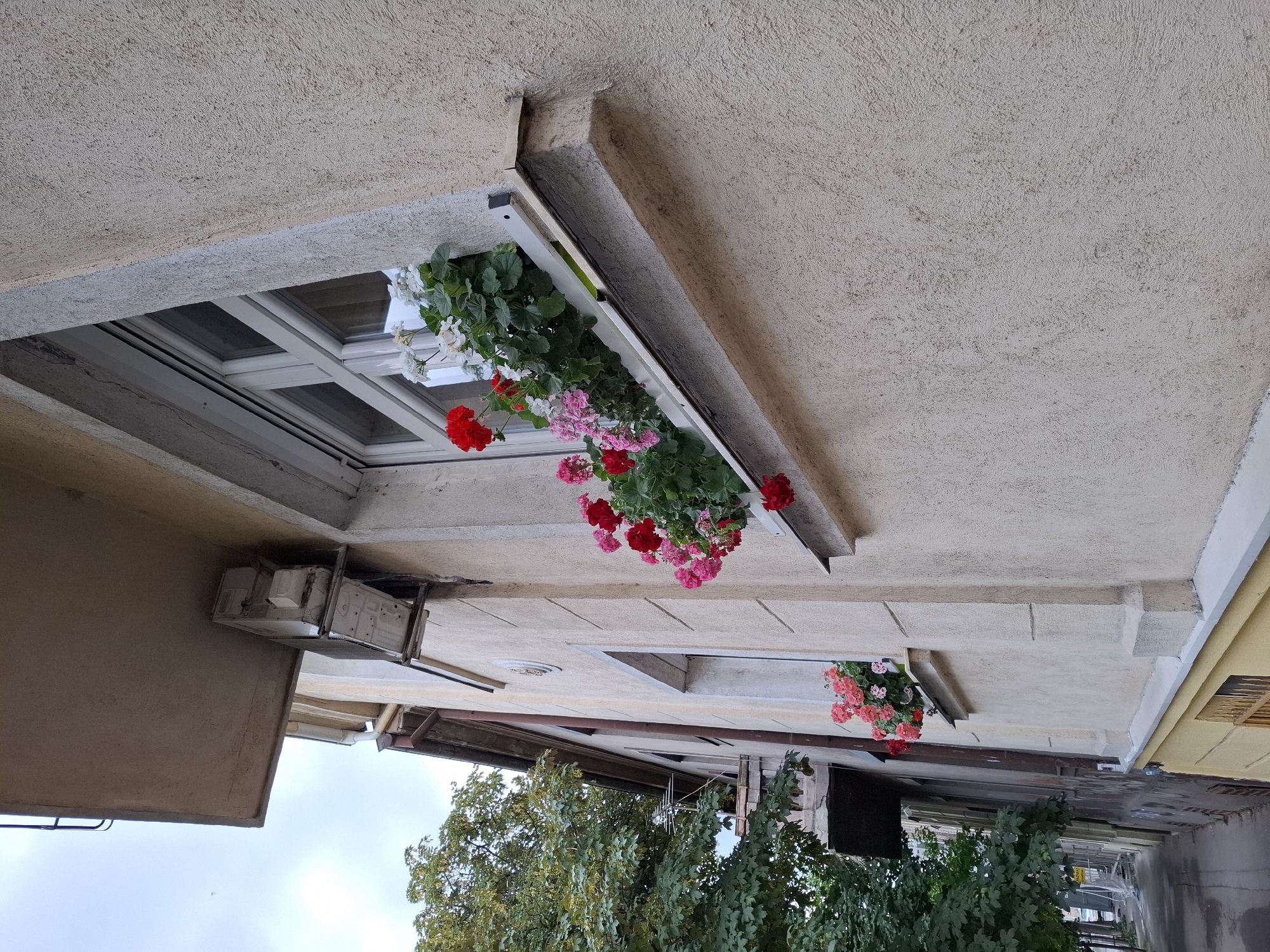 An eye-level, outdoor, medium shot captures a textured, light beige building wall with a window box overflowing with vibrant red and pink flowers. The window, with white mullions, is visible above the flower-filled window box. An air conditioning unit is mounted on the wall above and to the left of the window. To the left of the building, a tree with green foliage and a portion of another building with a dark roof are visible, suggesting an urban setting. The lower portion of the image shows a sidewalk and a street, implying a street-level view within Zemun Urban Municipality, Serbia. The sky above is overcast.