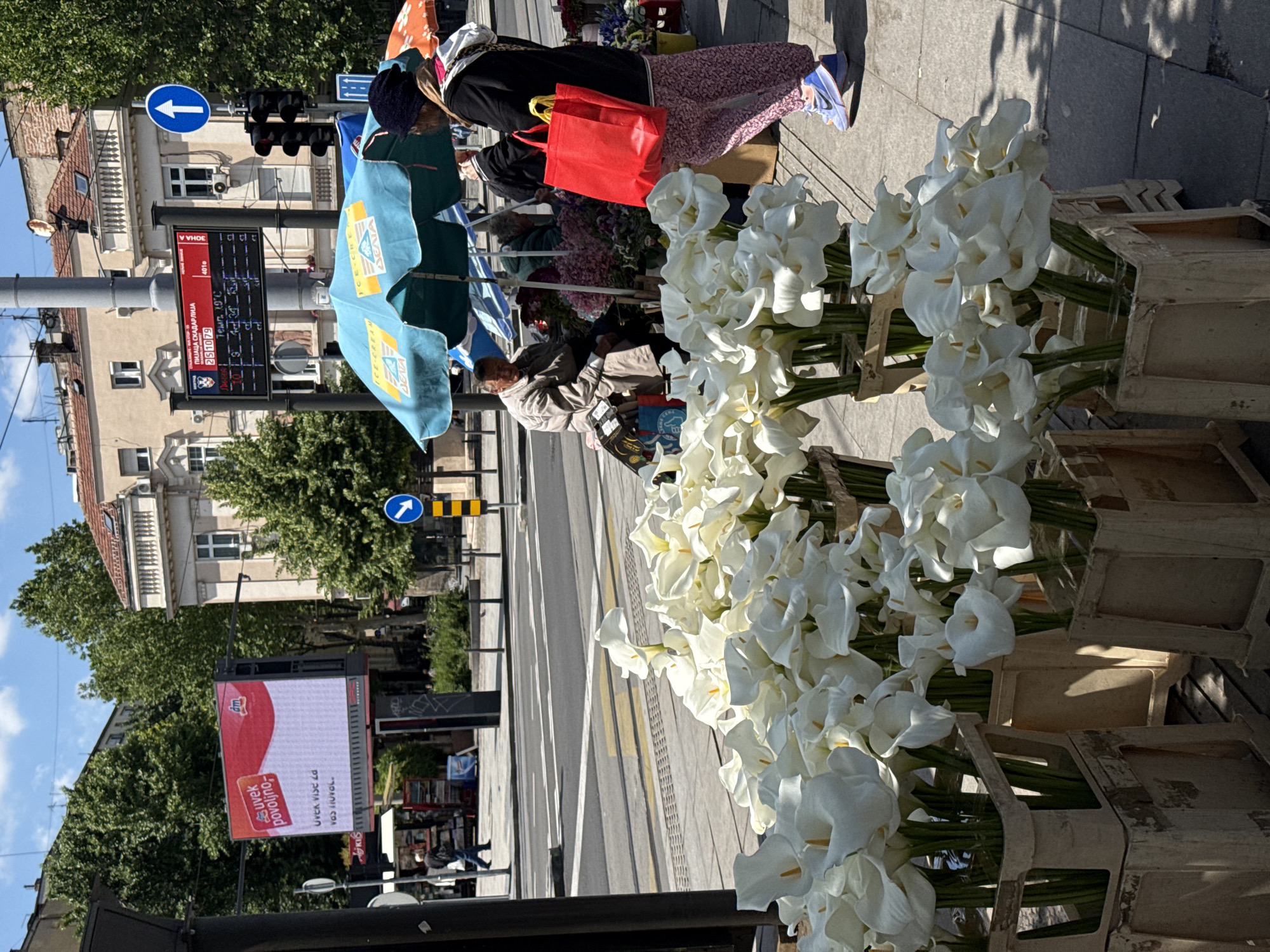 The image depicts a street scene in Belgrade, Serbia. In the foreground, there are several bouquets of white calla lilies arranged in wooden crates. Behind the flowers, there is a view of the street, including a crosswalk and tram tracks. A digital advertising display shows the time, temperature, and address "ПИЈАЦА СКАДАРЛИЈА 25 1079". There are also digital advertisements for "dm" (a drugstore chain) and "Ice Cream Delta." Several people are present, including flower vendors under blue and orange umbrellas. The background includes buildings, trees, and street signs.