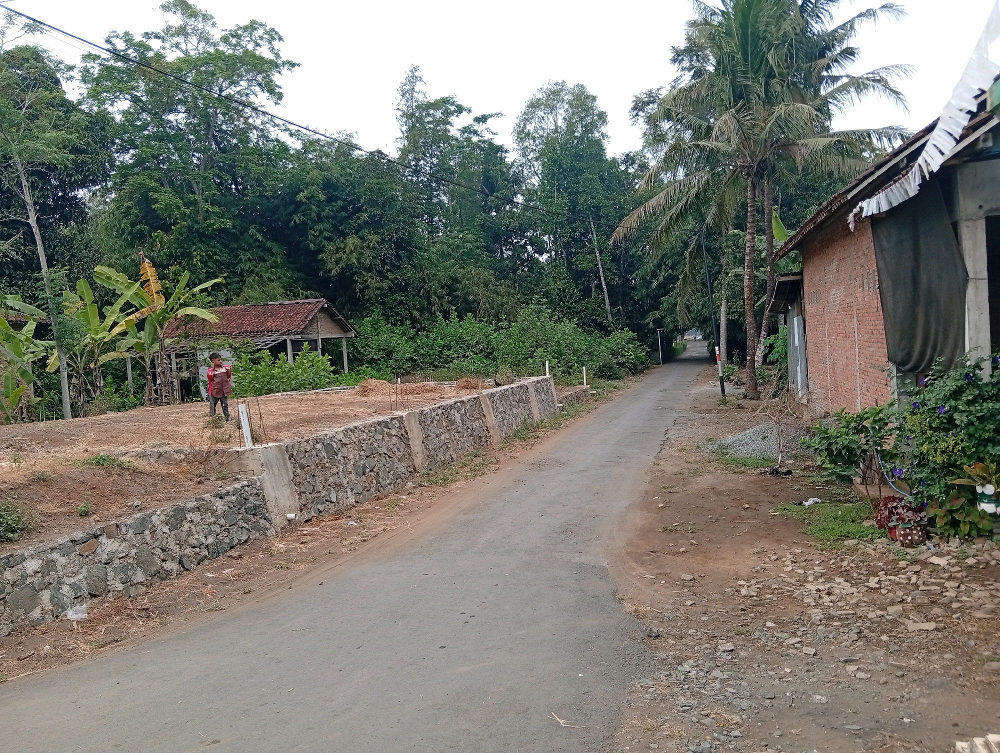 The image shows a rural road in Plempukankembaran, Indonesia. A young person in a red shirt is standing on a dirt lot behind a stone retaining wall. The lot is sparsely vegetated and appears to be under construction, with some concrete pillars visible. To the left of the lot, there is a small, dilapidated structure with a tiled roof. Beyond the lot and structure, a dense forest of trees and bamboo lines the road. On the right side of the road, a brick house with a corrugated metal roof is visible, with a mature coconut palm tree next to it. The sky is overcast.