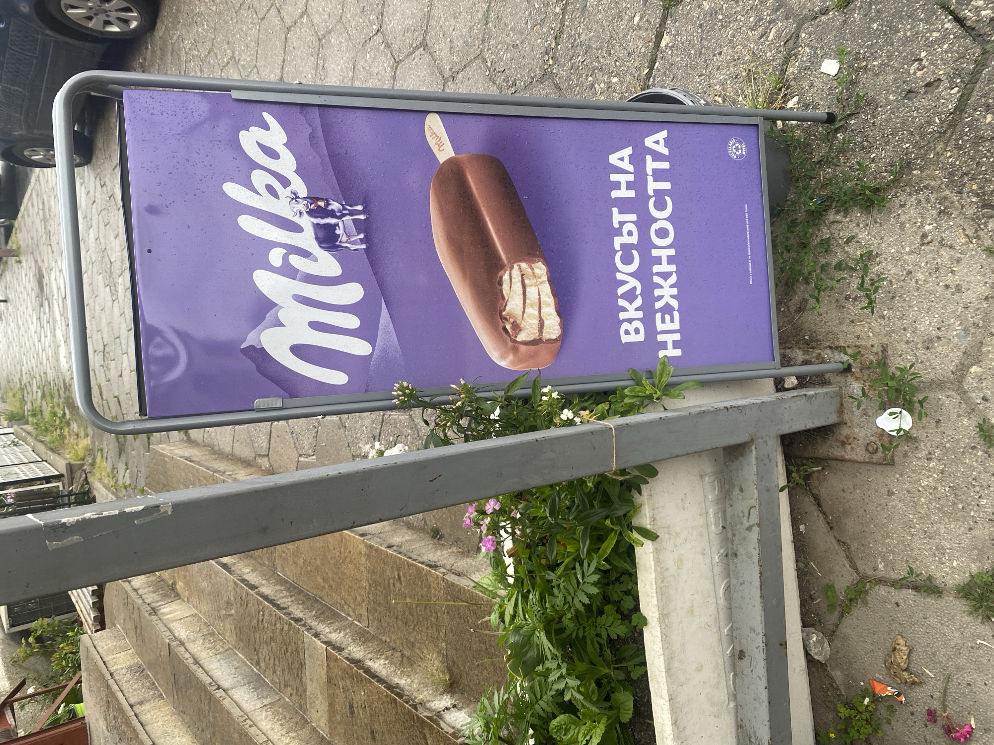 The image depicts an outdoor advertising stand for Milka ice cream positioned on a sidewalk in front of a building. The stand is purple and features an image of a Milka ice cream bar, the Milka cow logo, and text in what appears to be Bulgarian: "ВКУСЪТ НА НЕЖНОСТТА" (The taste of tenderness). To the left of the stand are stone steps leading up to the building and a planter box filled with green foliage and small pink and white flowers. The sidewalk is paved with grey stone slabs, and some green weeds are growing through the cracks. In the background, a dark-colored car is partially visible, and the building appears to have windows and air conditioning units. The ground is damp, suggesting recent rain. The overall scene captures a commercial advertisement in a pedestrian area.