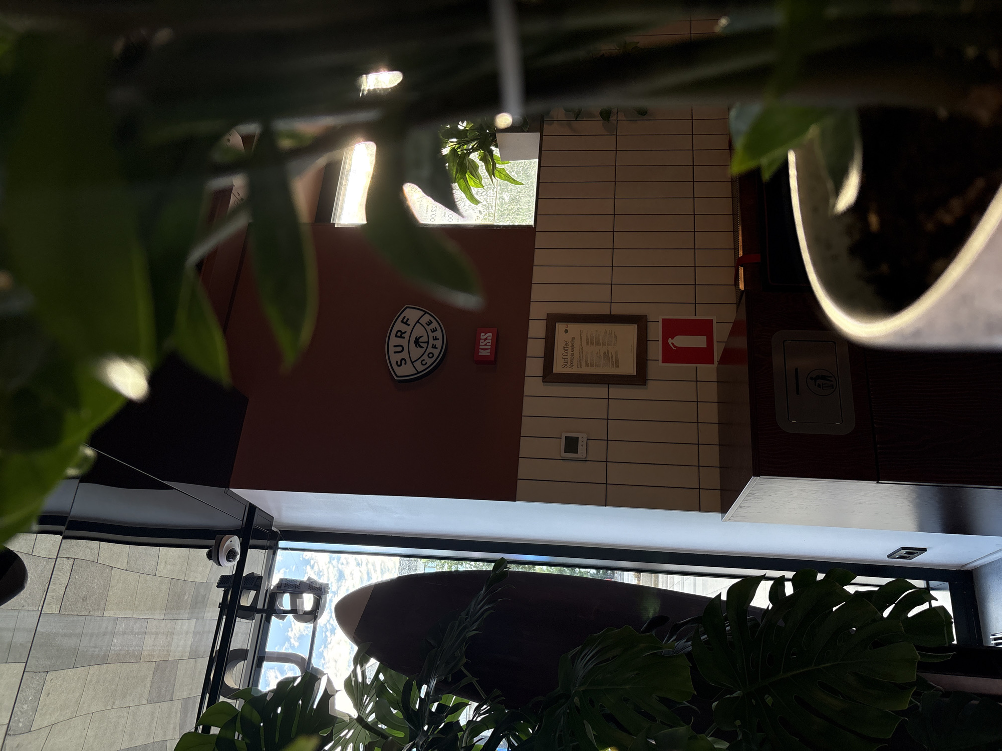 This is a photograph taken from the interior of a Surf Coffee establishment in Moscow, Russia. The camera is positioned to the right of a large potted plant, which partially obscures the view of the scene.
The foreground is dominated by the leaves and pot of the plant. To the left, a large window offers a view of the sky with clouds and some trees. Leaning against the window is a dark-colored surfboard.
Inside the cafe, a wall is visible, painted in a reddish-brown hue. On this wall, there is a round sign with "SURF COFFEE" written around a palm tree graphic, and below it, a red rectangular sign with the word "KISS" in white letters. Further down, a framed menu is displayed. To the right of the menu, a white fire extinguisher symbol is visible on a red background.
The wall transitions to white tiled panels. A dark wood counter is present, with a trash receptacle inset into its surface. A small white digital display is mounted on the tiled wall.
A window in the background allows light to enter the space, illuminating a smaller potted plant in a white pot. The overall impression is a modern, somewhat minimalist cafe interior with a surf-themed aesthetic. No people are visible in the photograph.