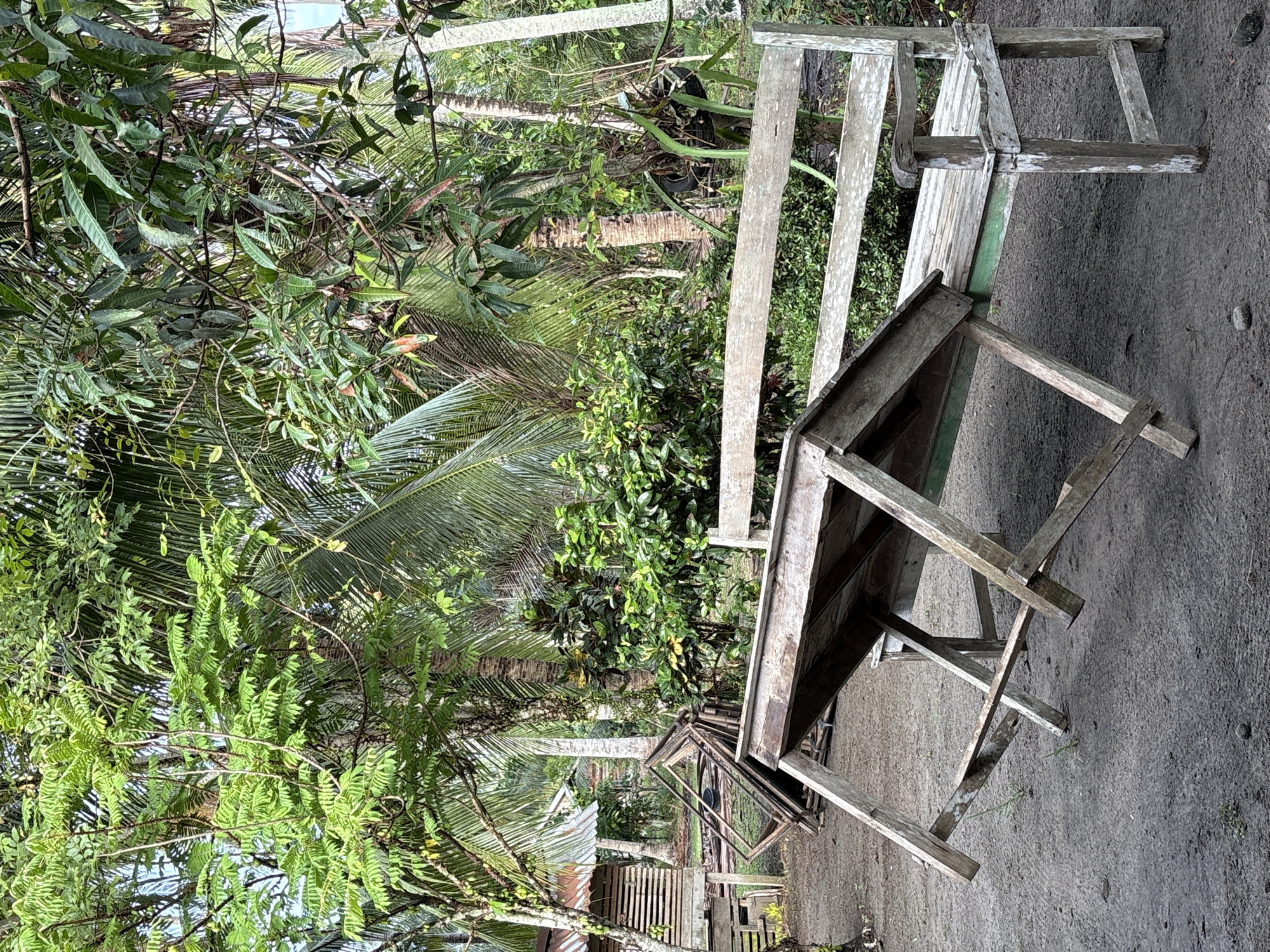 In Beunyot, Indonesia, a rustic wooden bench sits in front of a tilted wooden table in an outdoor, unpaved area. The bench is weathered and shows signs of age, with peeling paint. The table, also wooden, is propped up on one side by its legs, giving it a precarious, slanted appearance. Behind the bench and table, lush green foliage dominates the scene, with trees and palms creating a dense backdrop. The overall environment suggests a tropical or sub-tropical setting. There are no people or animals visible in the image, and no specific actions or interactions are depicted.