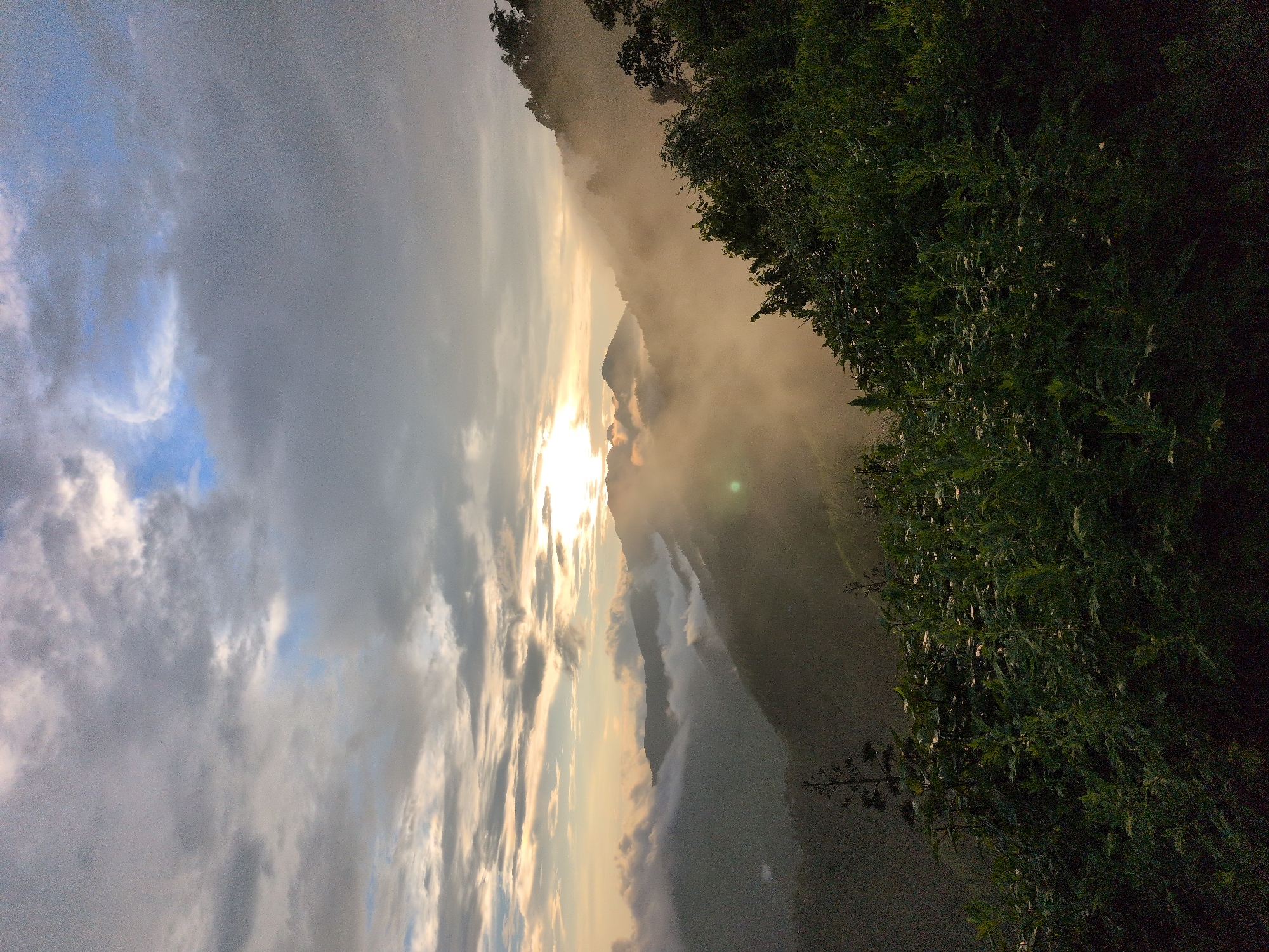 An outdoor, vertical, medium-shot captures a misty mountain landscape during daytime. The foreground is dominated by dark green foliage, with a tall, slender plant rising from the center and other leafy plants filling the frame. Beyond the foliage, a misty mountain range recedes into the distance, with the sun partially obscured by clouds and mist, creating a bright, hazy glow. The sun's rays are visible, casting a warm light across the scene. The sky above is filled with a mix of dark and light clouds, with patches of blue visible. The image appears to be taken from a higher elevation, looking down into a valley.
