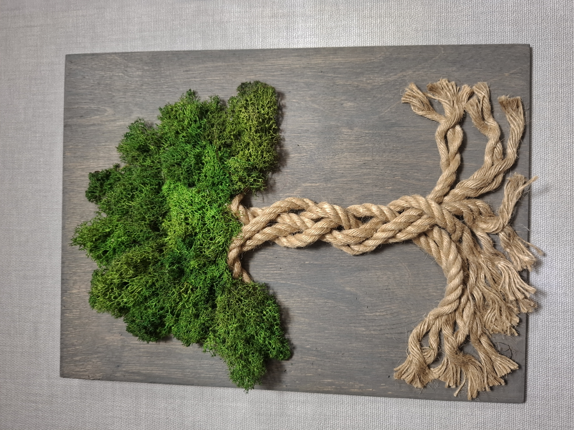 The image depicts a rectangular wooden plaque, likely a piece of wall art. The plaque has a dark grey-stained finish. On the left side is a cluster of bright green moss resembling the crown of a tree. A length of twisted, light brown rope is positioned to form the trunk and branches of the tree. The rope starts at the base of the moss, extends horizontally across the plaque, and then splits into several strands forming the branch-like structure. The strands are untwisted at the ends, creating a frayed texture. The background is a light grey, possibly a wall or other surface. The image appears to be a close-up, well-lit shot of the artwork. There is no information to suggest the location is Chaikovsky, Russia.