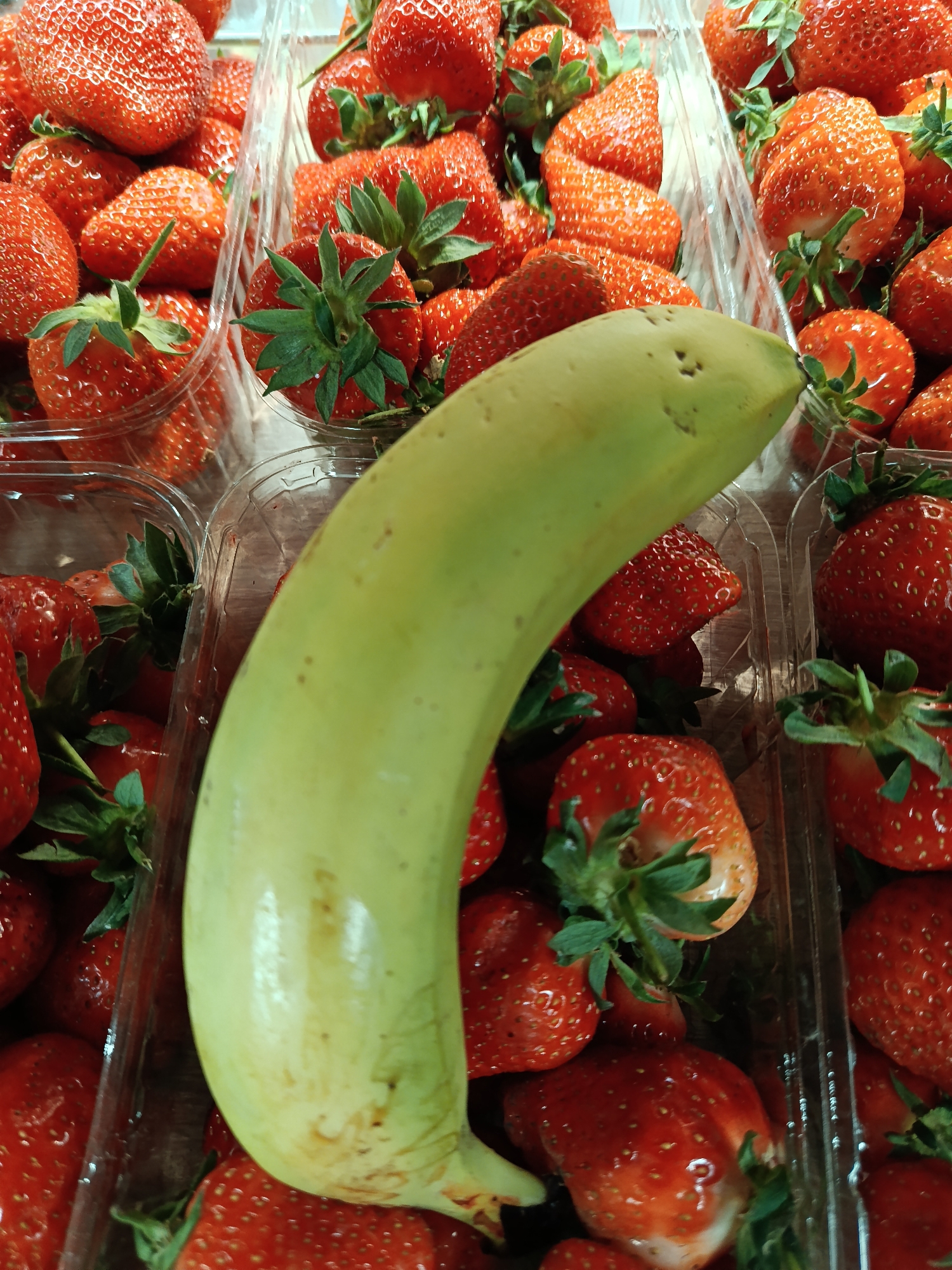 The image shows several transparent plastic containers filled with ripe red strawberries, intermixed with a single curved, light-green zucchini. The strawberries appear fresh and have green stems. The zucchini is positioned across the containers of strawberries. The overall setting suggests a market or store display, potentially in a city. It is not possible to ascertain the city of Moscow without additional evidence.