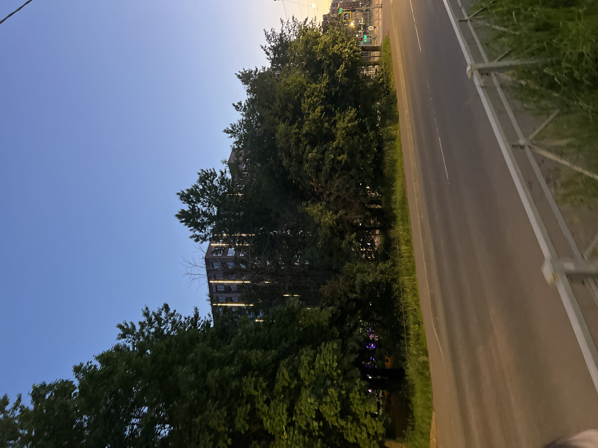 The image captures an urban twilight scene in Saint Petersburg, Russia, specifically along Moskovsky Prospekt. The prominent building in the background with distinctive vertical facade lighting is the "Prime" residential complex, located at Moskovsky Prospekt, 65.
The scene is viewed from the side of a multi-lane asphalt road, which stretches from the lower-left foreground towards the upper-right distance. Faint white dashed lane markings are visible on the road surface. In the lower-right foreground, a white metal pedestrian fence with a criss-cross pattern separates a narrow strip of green grass and weeds from the road's edge.
Beyond the road and a concrete curb, a dense line of mature deciduous trees with lush green foliage extends across the middle ground, obscuring much of the urban landscape behind them. Through and above these trees, the multi-story "Prime" residential complex is clearly visible. This dark-colored building features multiple, evenly spaced vertical light strips on its facade, glowing with a warm yellow or white light. Another darker building is partially visible further right, behind the trees.
The sky above is clear, displaying a gradient from a deep twilight blue overhead to a lighter, faintly orange-yellow hue near the horizon on the far right. Artificial lighting is active throughout the scene: streetlights illuminate the road and distant areas, and traffic lights are visible at a distant intersection on the far right. A single, indistinct pedestrian is visible in the far distance, walking near a pedestrian crossing sign and traffic lights. The overall ambiance is that of a calm urban evening or early morning twilight.