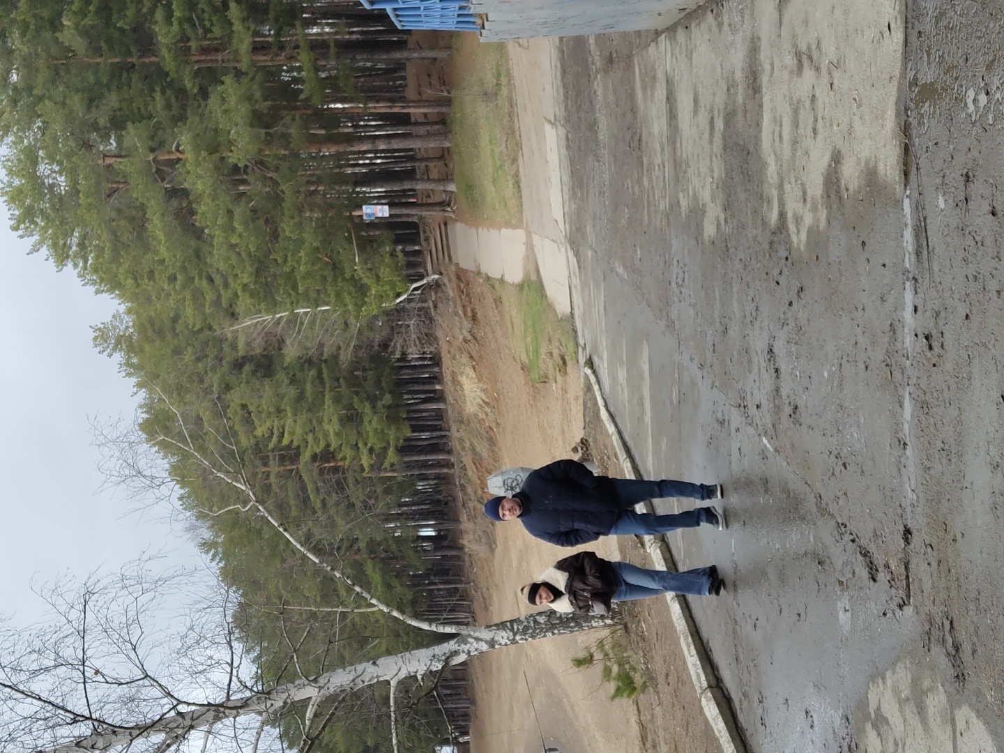 The image, when correctly oriented, shows two people standing on a wet outdoor path under an overcast sky in Chaikovsky, Russia.
In the foreground, a person identified as male is wearing a dark blue puffer jacket, blue jeans, and a blue beanie. Standing slightly behind and to their right is a second person, identified as female, dressed in a dark brown jacket with a light-colored hood and blue jeans. Both individuals are looking towards the viewer, seemingly paused during a walk, possibly posing for a photograph.
The path beneath them is a damp, mottled surface, likely concrete or asphalt, with visible wet patches and reflections, suggesting recent rain or snowmelt. To the left of the path, a dense row of tall pine trees forms a forest edge, with a small, unreadable white sign visible amongst them in the middle distance. To the right of the path, a prominent light-barked tree, characteristic of a birch, stands with numerous bare branches, indicating either late autumn, winter, or early spring. A blue structure is partially visible in the upper right background. The sky is uniformly overcast, contributing to the cool, damp atmosphere of the outdoor scene. No legible text is visible on the sign or elsewhere.
