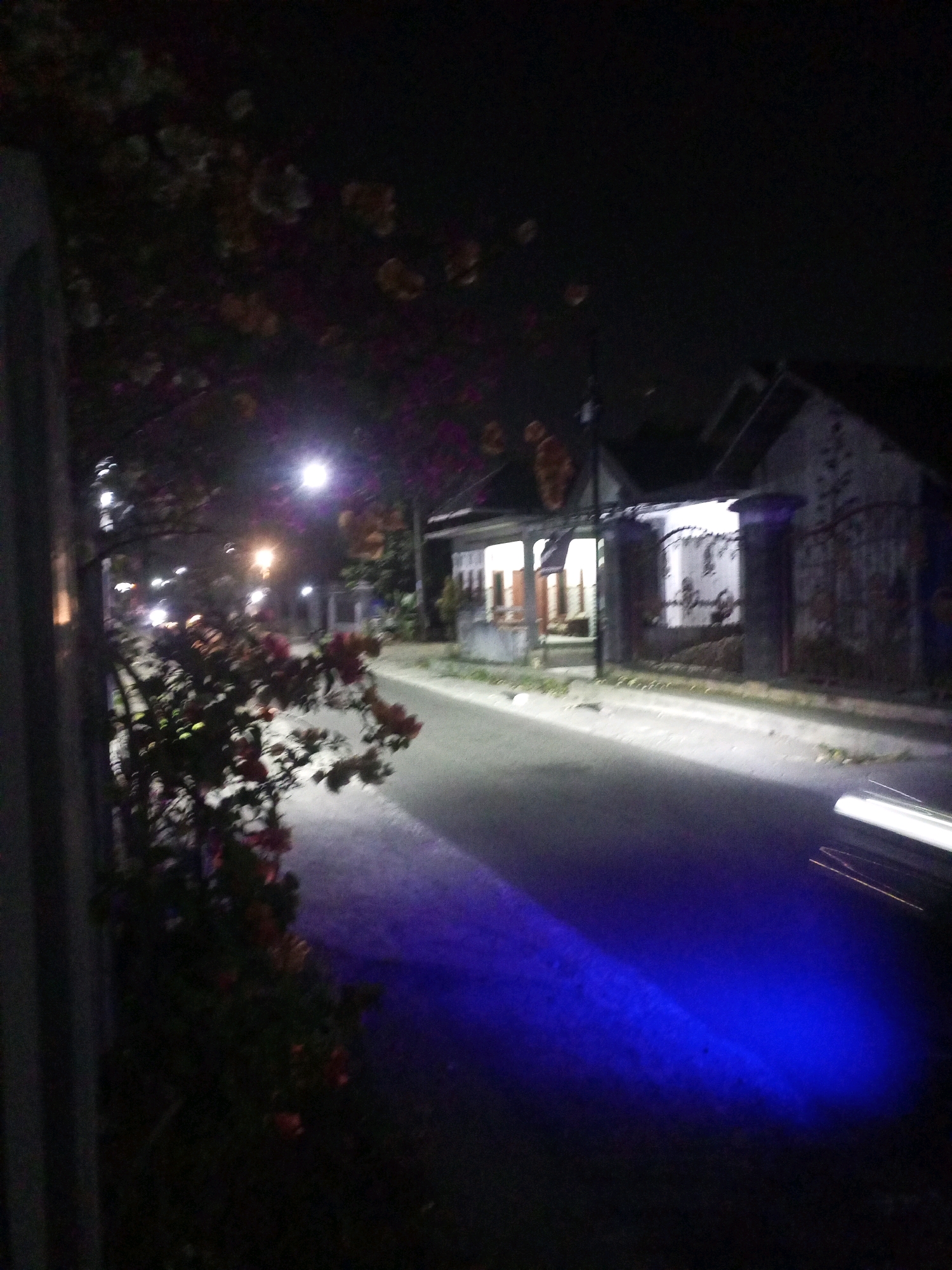 This is a nighttime outdoor photograph taken in the city of Ngasem, Indonesia. The scene depicts a residential street with houses lining one side and vegetation along the other. A prominent feature is the artificial lighting, with streetlights casting illumination on the road and a distinct blue light reflecting on the pavement. The houses appear to be single-story structures with visible windows and doors. A gate and fence are present in front of one of the houses. In the foreground, there is a tree with some foliage and what appear to be flowers, some of which are illuminated by the artificial lights. The road surface is asphalt. The overall atmosphere is dark, with a sense of quietness often associated with residential areas at night. The image is characterized by low light conditions, resulting in a slightly blurred and grainy appearance. There are no people or animals clearly visible in the frame.