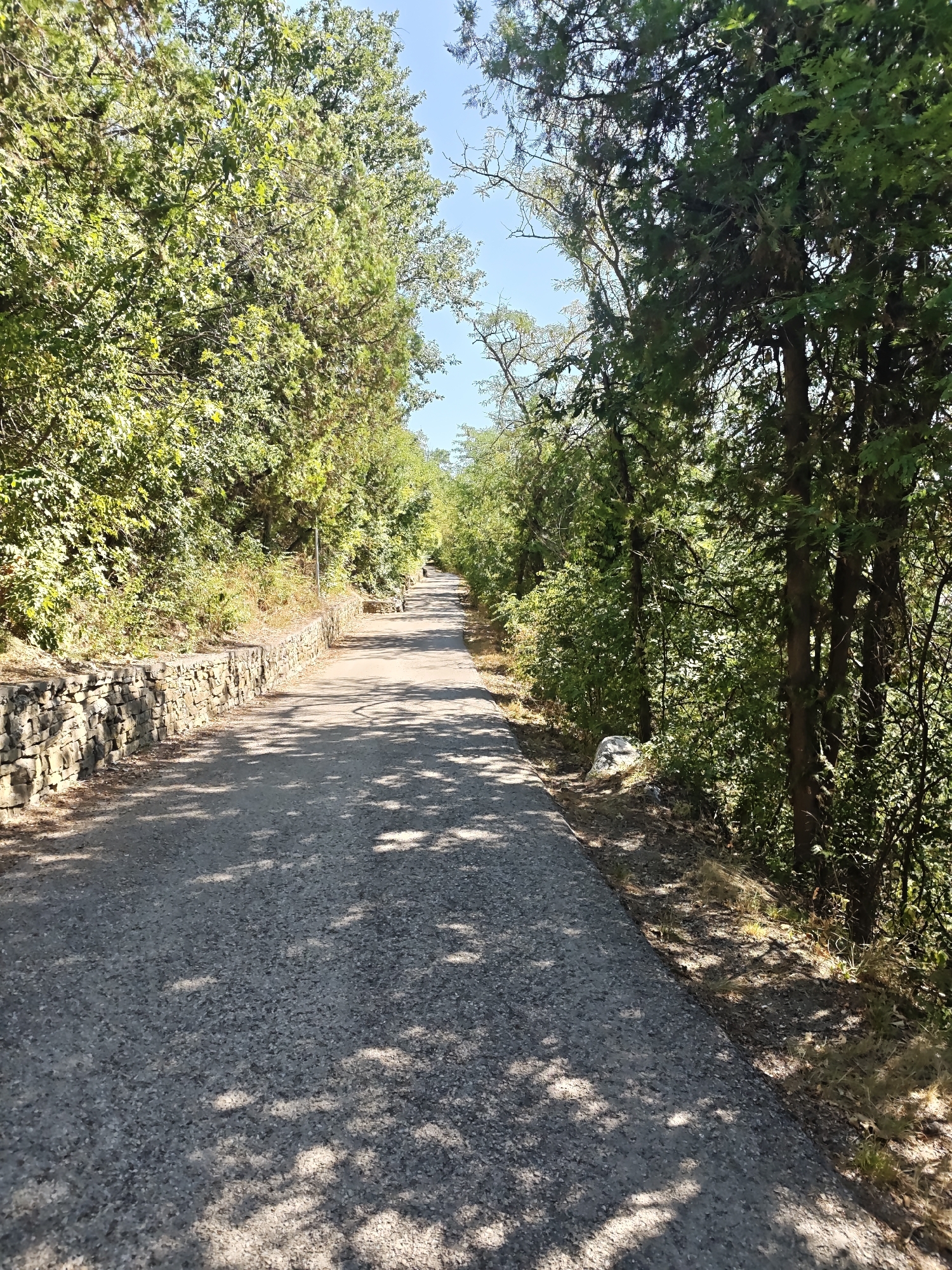 The image shows an asphalt path winding through a forested area. The path is lined on the left by a low, dry-stone wall with vegetation growing behind it. On the right, the path is bordered by dense trees and undergrowth. Sunlight filters through the leaves, casting dappled shadows on the path. The sky is clear and blue. In the distance, a person can be seen walking on the path. This scene is located at the eco-path to the "Popova Shapka" peak, on the outskirts of Lovech, Bulgaria.