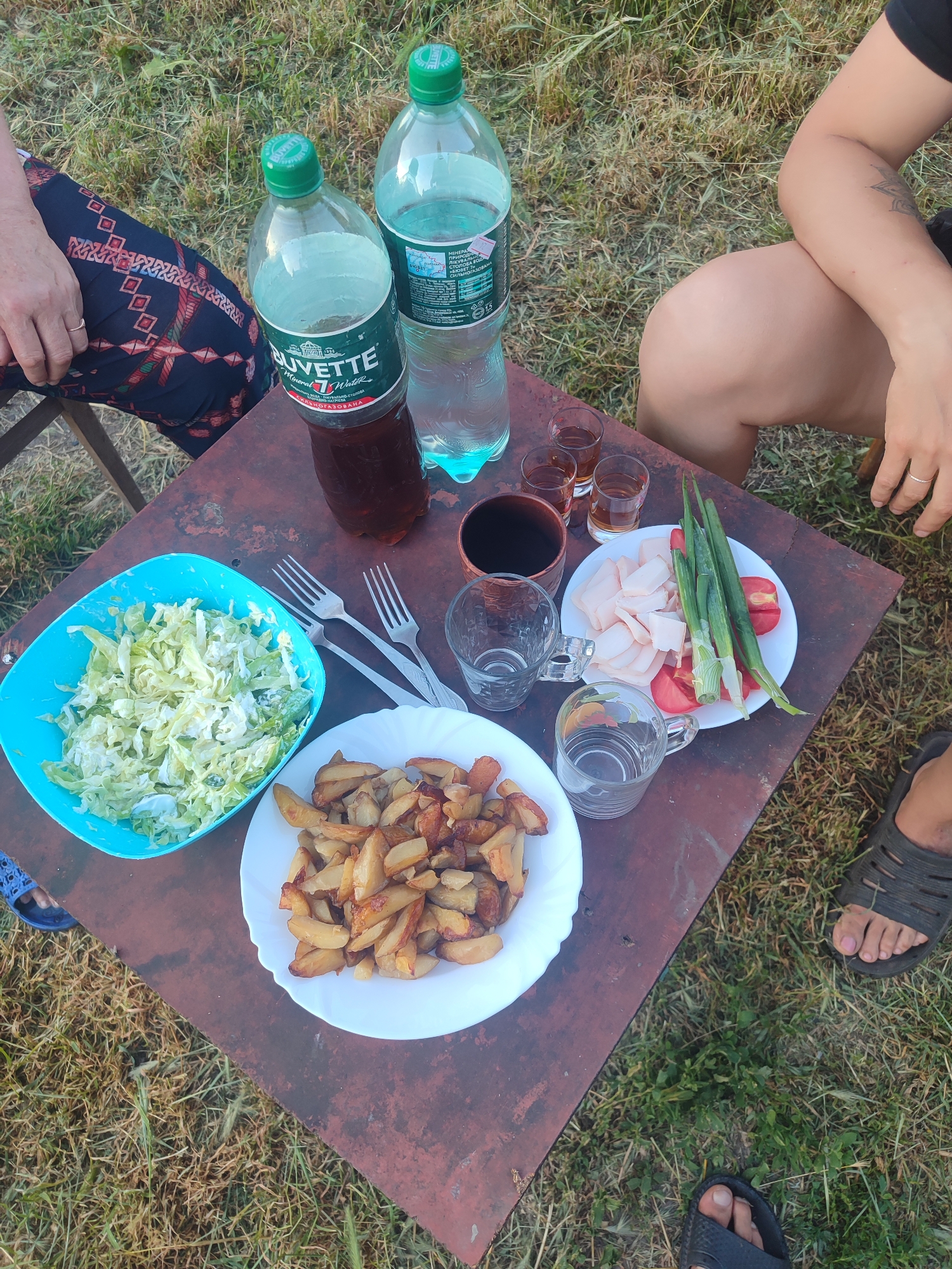 This image shows a close-up of a picnic table with food and drinks. The table is covered in a rustic, reddish-brown surface and is set on a grassy area. On the table, there are two bottles of water, one of which is labeled "BUVETTE Mineral Water". There are also three small shot glasses filled with a reddish liquid, two empty glasses, and a larger cup filled with a dark liquid.
Food items include a blue bowl filled with chopped cabbage salad, a white plate with roasted potato wedges, and another white plate containing slices of meat, tomatoes, and green onions. Several forks are placed near the salad bowl.
People's limbs are visible at the edges of the frame. One person's legs are in patterned trousers, and another person's arm and knee are visible. The presence of feet in sandals suggests a casual outdoor setting. The lighting and shadows indicate it is likely daytime, possibly late afternoon. The overall scene suggests a relaxed, informal gathering or meal outdoors.