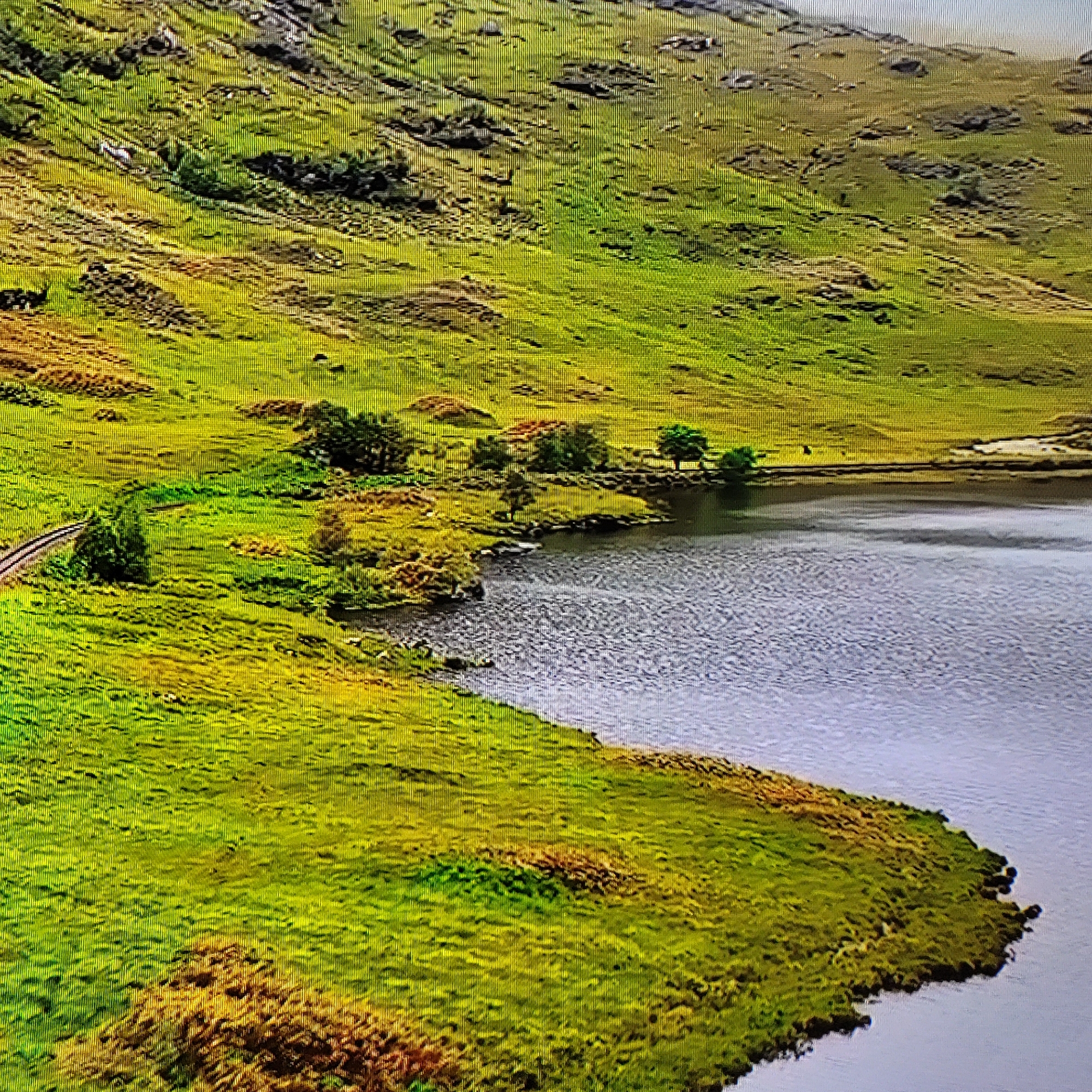 The image depicts a tranquil, rural landscape with a body of water, possibly a lake, dominating the right side of the frame. The water appears calm and reflective, with a slightly muted, grayish-blue hue.
The left and upper portions of the image are composed of a hillside or gentle mountain slope covered in lush greenery. The predominant color is a vibrant, yellowish-green, suggesting healthy vegetation, likely grass and low-lying plants. There are also patches of brownish-orange vegetation scattered across the hillside, particularly in the foreground and along the shoreline. These patches could indicate areas of drier vegetation or autumn colors.
A narrow track or path is visible winding along the hillside, curving from the left side of the frame towards the center. Small clusters of trees and shrubs are scattered along the shoreline and further up the slope, adding texture and depth to the scene.
The overall impression is one of a peaceful, natural environment, seemingly untouched by urban development. The absence of any visible structures or human presence reinforces this sense of remote tranquility.
There is no indication of Yerevan, Armenia in this image.
