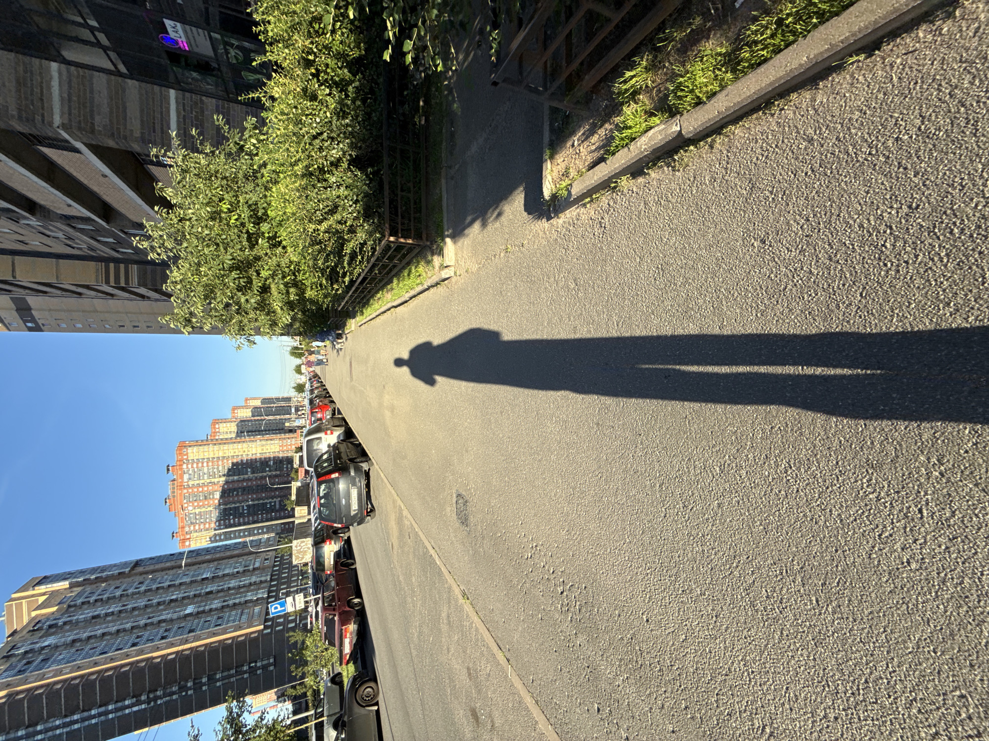 In Pargolovo, Russia, a shadow of a person walking casts a long, dark silhouette on a paved sidewalk adjacent to a street. The street is lined with parked cars, and in the background, tall, modern apartment buildings dominate the cityscape under a clear blue sky. Green foliage and trees are visible along the sidewalk, with a low metal fence bordering some areas. The overall scene depicts a sunny day in a residential urban environment.